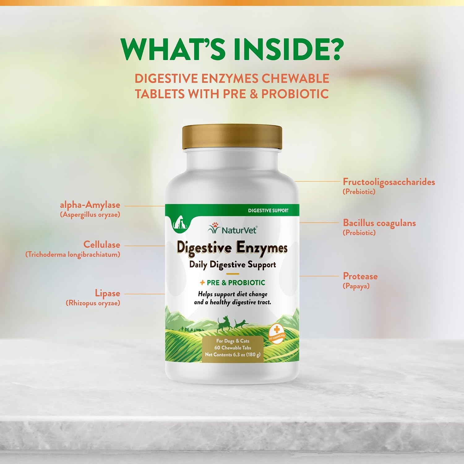 NaturVet Digestive Enzymes with Pre & Probiotic for Dogs & Cats - 8 oz | Supports Diet Changes & a Healthy Digestive Tract with Prebiotics, Powder