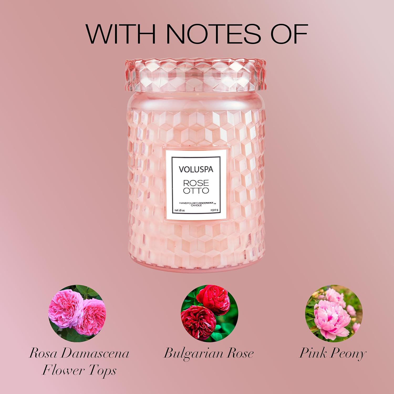 Voluspa Milk Rose, Large Candle Jar, 18 Ounce, 100 Hour Burn Time, Coconut Wax for Clean Burning, Handcrafted in the USA