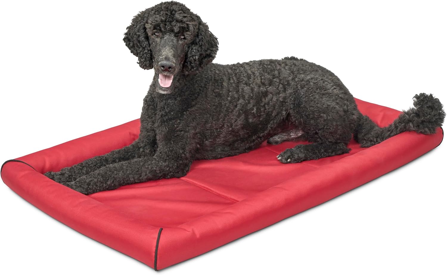 MidWest Homes for Pets Intermediate QuietTime MAXX Ultra-Rugged Dog Bed, Water & Odor Resistant, Bolstered Edge, Non-Slip Bottom, Fits 36-inch Crates, Black