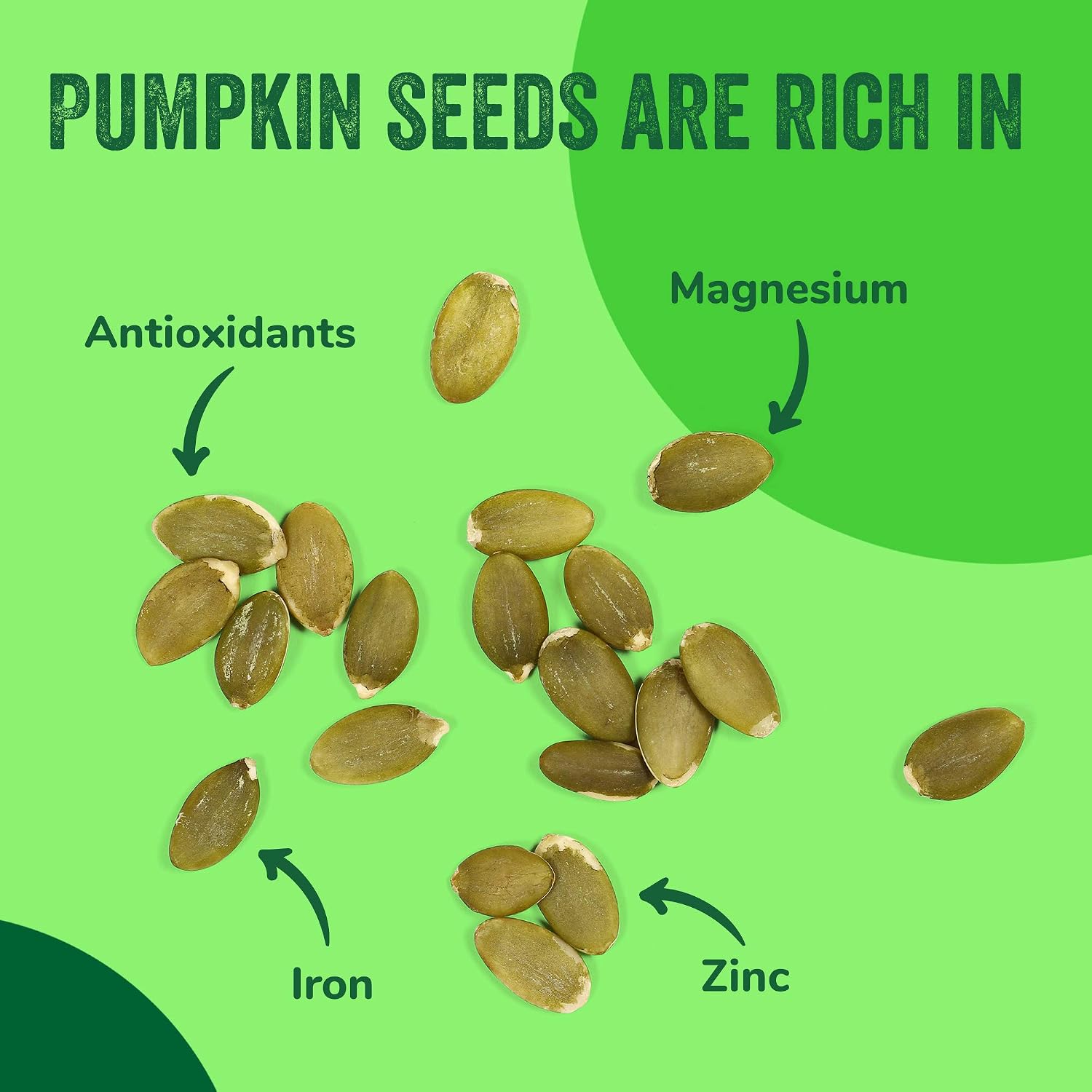 Raw Pumpkin Seeds 3 lb, Pepitas, No Shell, Unsalted, Kosher, Non-GMO