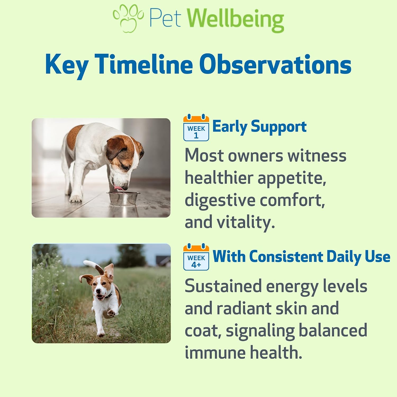 Pet Wellbeing Mushroom Immune Gold for Dogs - Immune Defense