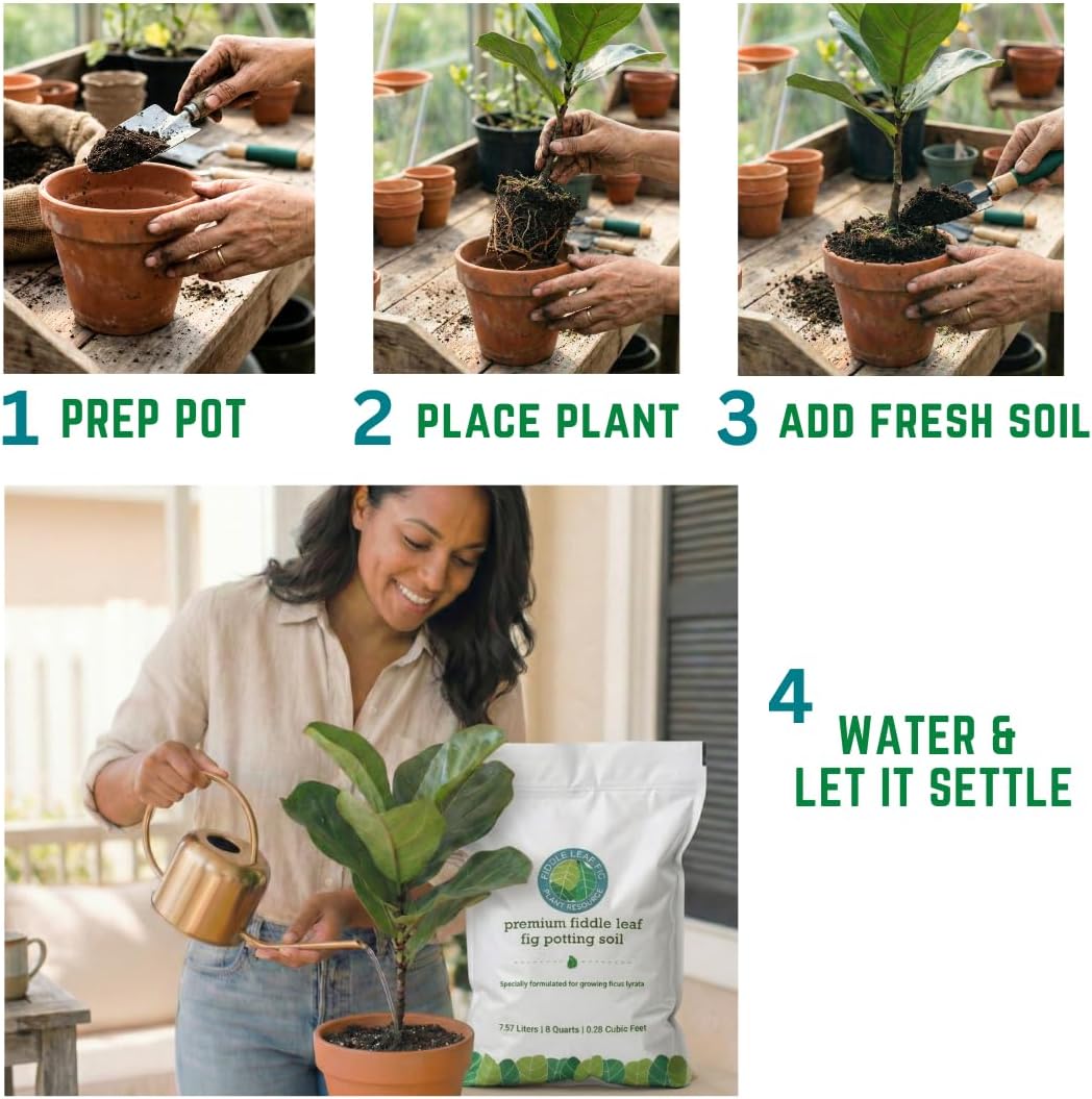 Organic Fiddle Leaf Fig Soil, Well-Draining Potting Mix, Large 7.5L Bag