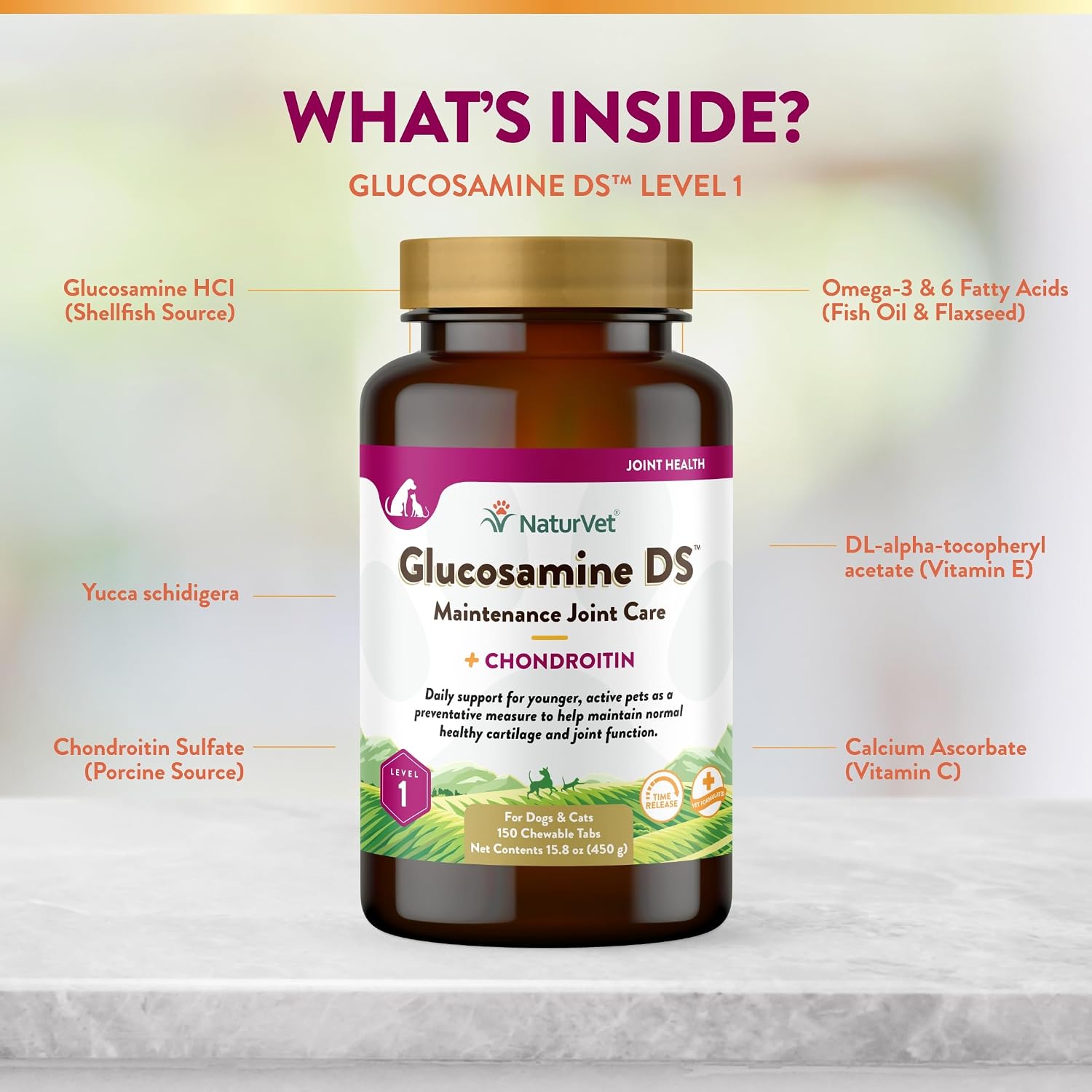 NaturVet – Glucosamine DS Plus - Level 2 Moderate Care – Supports Healthy Hip & Joint Function – Enhanced with Glucosamine, MSM & Chondroitin – for Dogs & Cats–70 Soft Chews