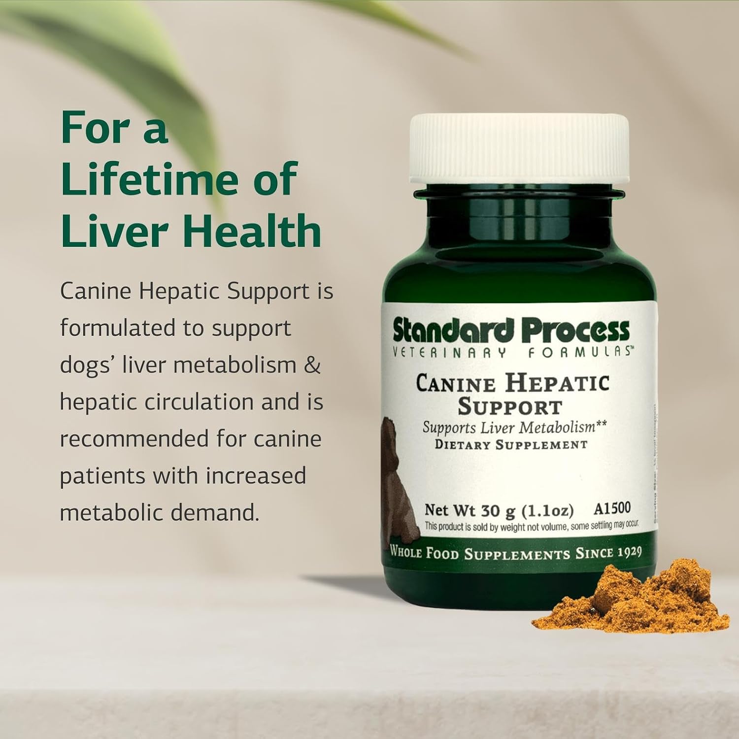 Standard Process Canine Hepatic Support - Dog Supplement to Aid Liver Health - Hepatic Immune Function & Liver Metabolism Support Supplement - Powder Supplement for Dogs - 110 g