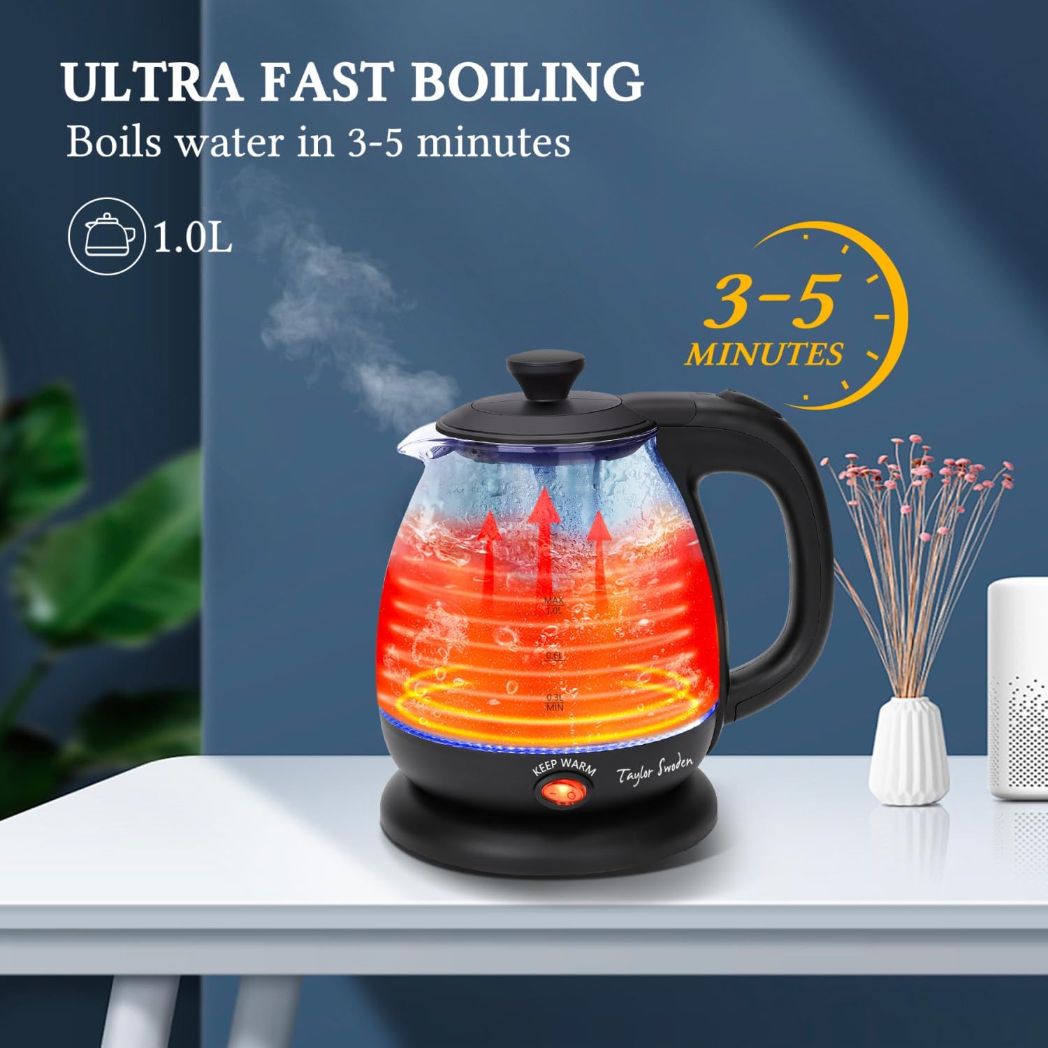 Taylor Swoden Electric Kettle with Tea Infuser, 1L Small Electric Tea Kettle with Keep Warm, LED Light Hot Water Boiler & Heater for Coffee & Teas