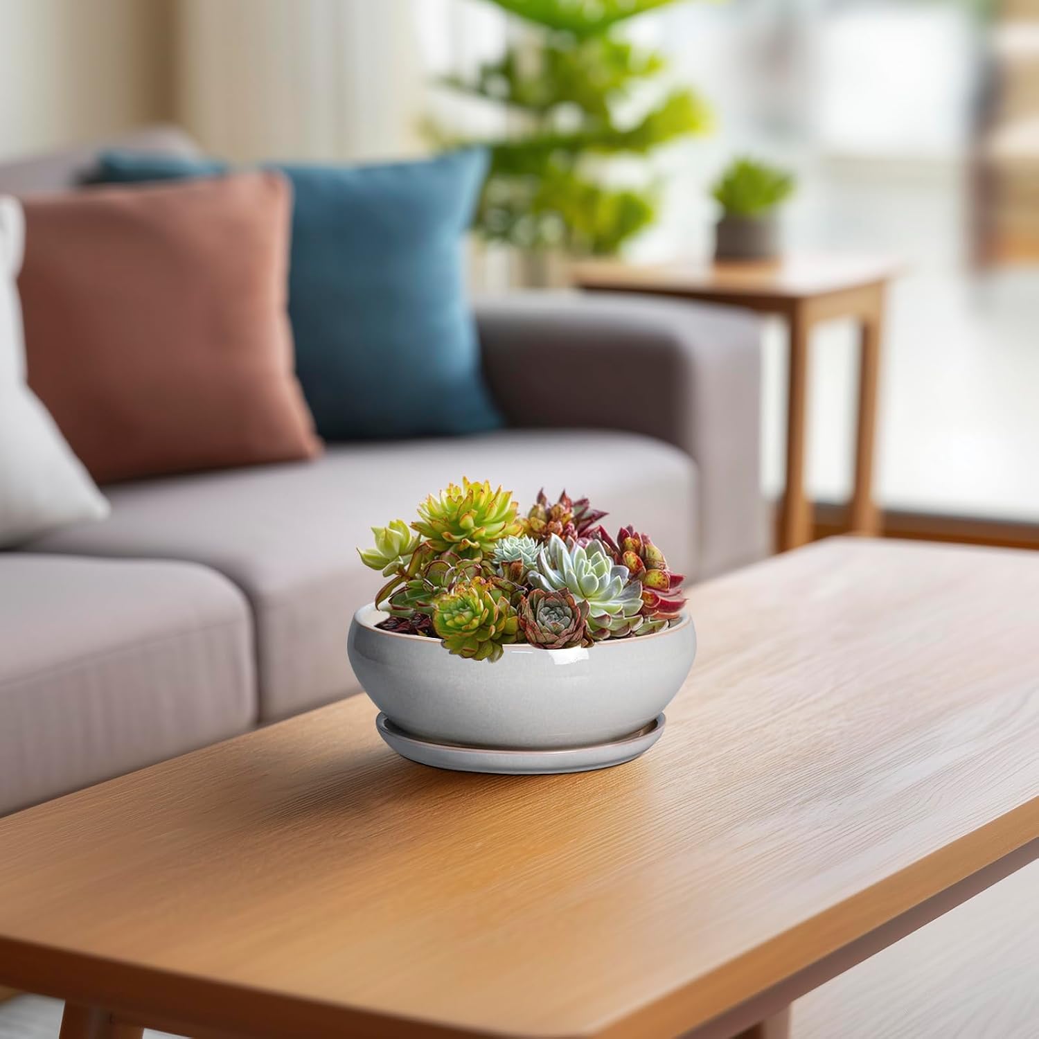 SQOWL 7 Inch Round Ceramic Succulent Planter Pot Drip Glazed Shallow Planter with Drainage Bamboo Tray for Indoor Plants