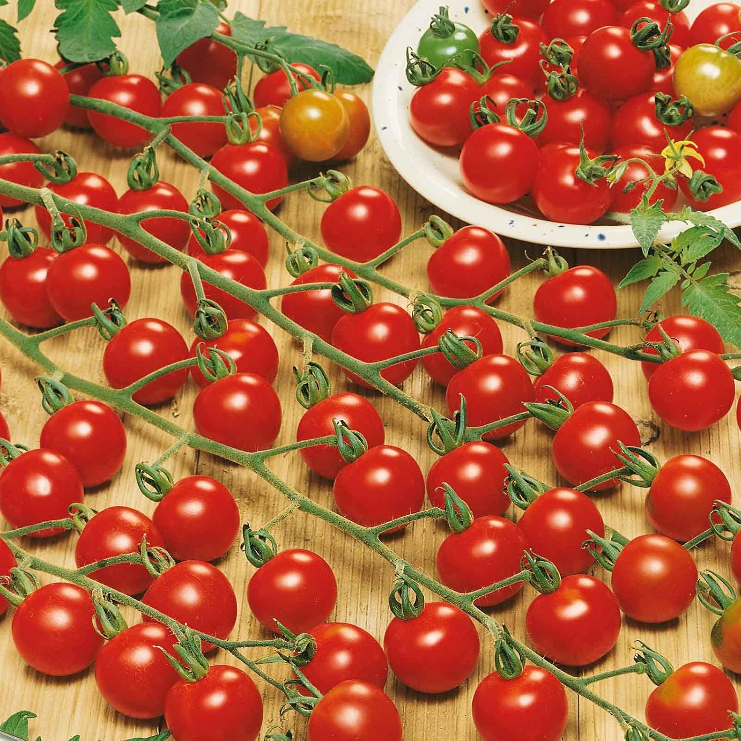 Eden Brothers Tomato Seeds - Persimmon Non-GMO Seeds for Planting, 1 oz | Low-Maintenance Vegetable Seeds, Plant During Warm Season, Zones 10, 3, 4, 5, 6, 7, 8, 9