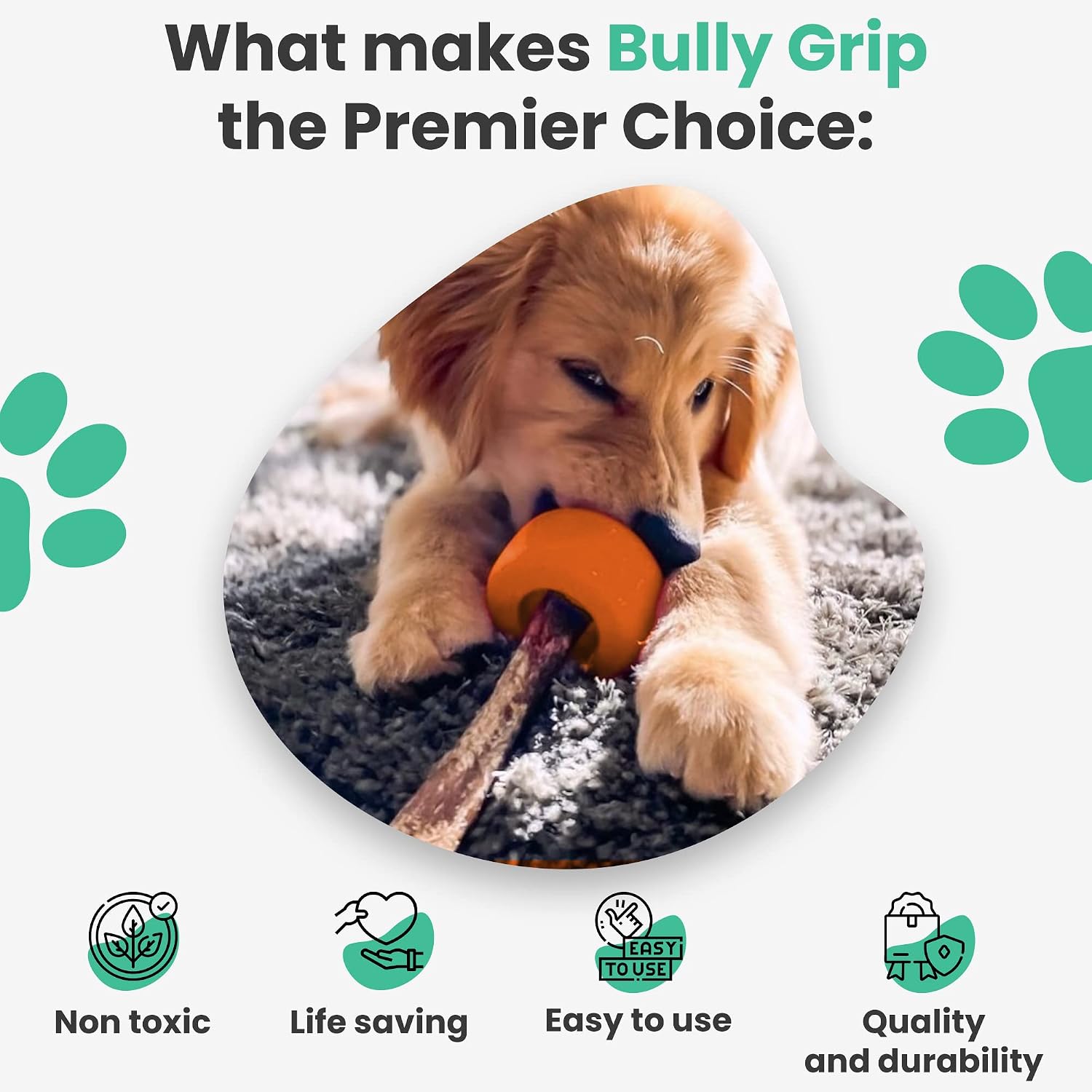 Bully Stick Holder for Dogs - Medium Size - Interactive Dog Toy, Dog Treat Holder, Slow Feeder, Treat Dispenser, Chew Toy and Dog Safety Device