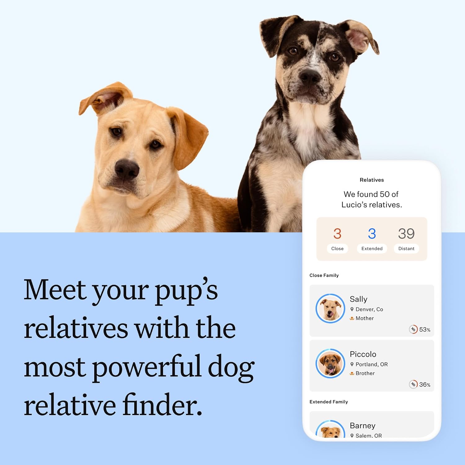 Wisdom Panel Breed Discovery Dog DNA Testing Kit - Most Accurate Dog Breed Identification - Test for 430+ Breeds, MDR1 Health Test, Ancestry