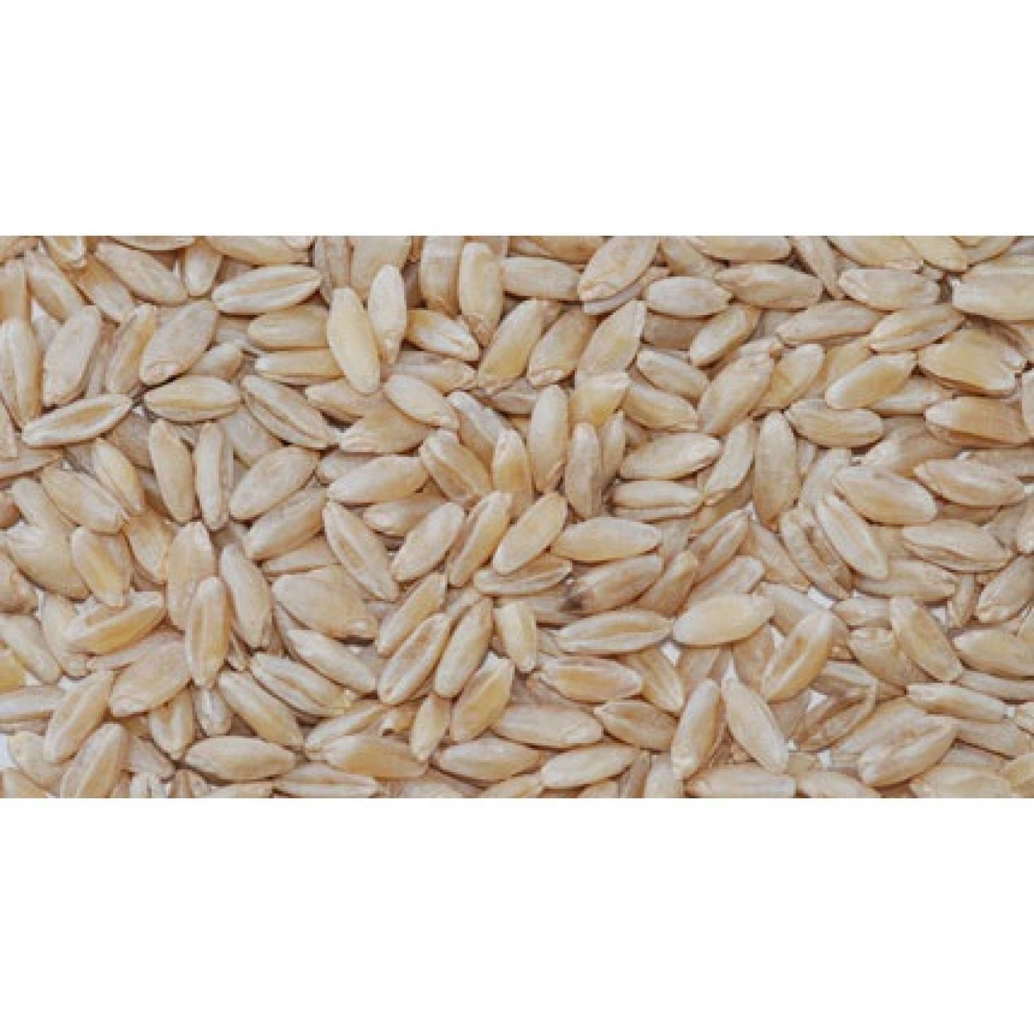 Grains Wheat Whole Soft Whi (1x50LB )