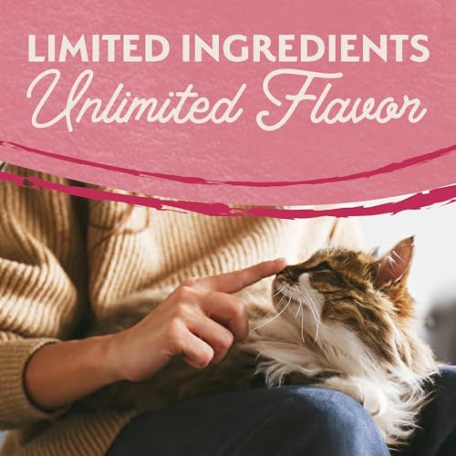 Natural Balance Limited Ingredient Adult Grain-Free Dry Cat Food - Balanced Nutrition - Soy-Free
