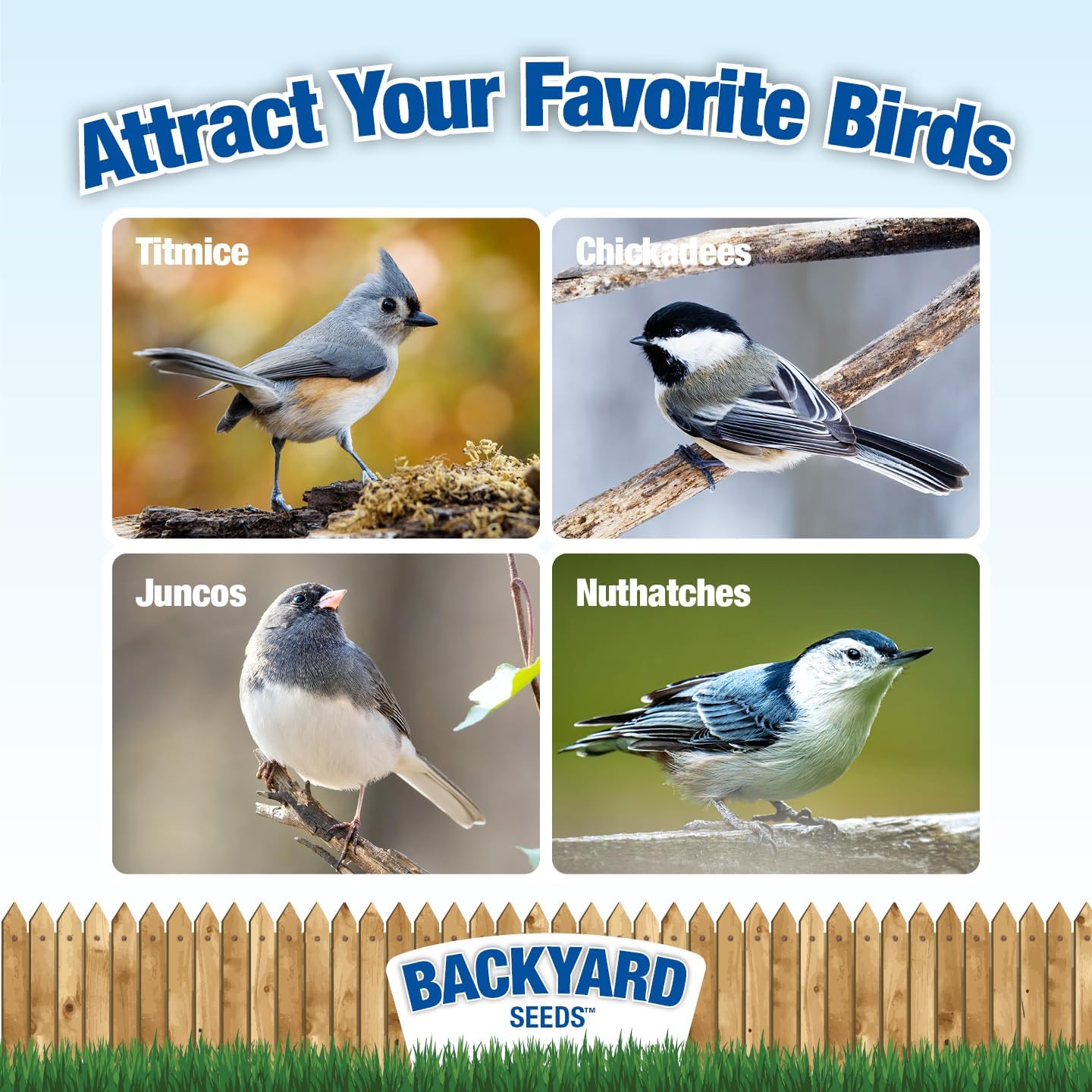 Backyard Seeds Woodpecker No-Waste Bird Seed Mix 5lbs - Premium Shelled Peanuts & Sunflower Chips, Small Bag of Wild Bird Food