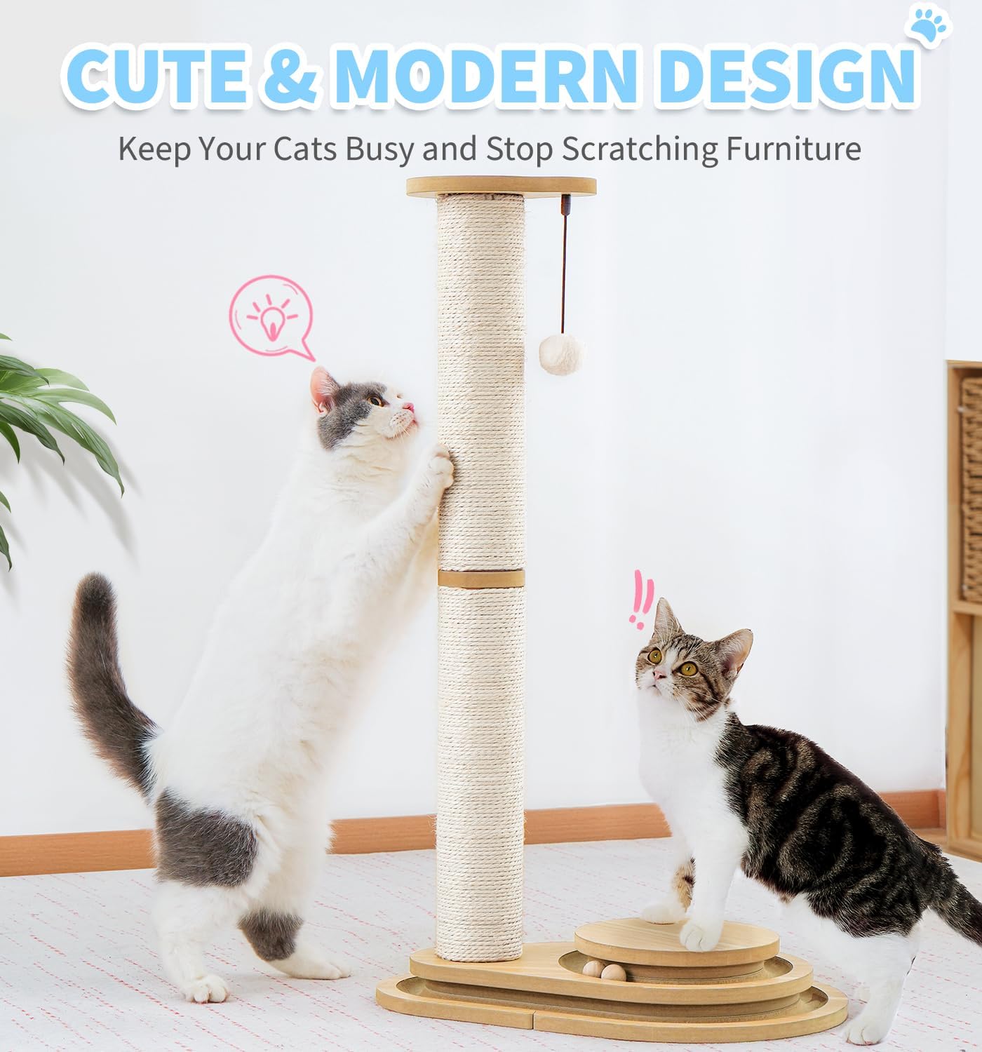 Made4Pets Kitten Toy Scratching Post for Indoor Cats with Ball Track