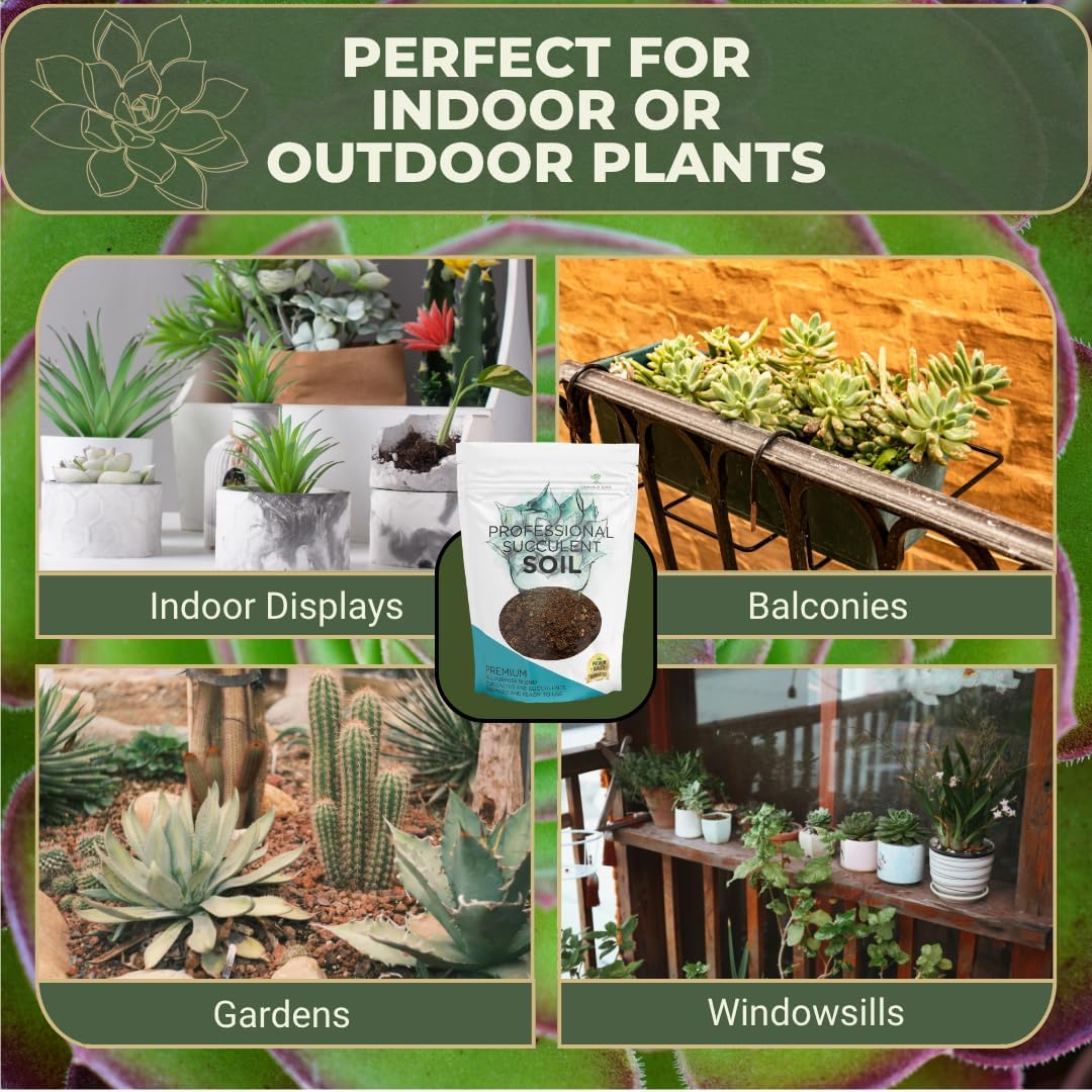 Professional Bonsai Soil Mix Ready to Use | Large 2.2 Quarts, Premium Potting Soil for Bonsai Trees