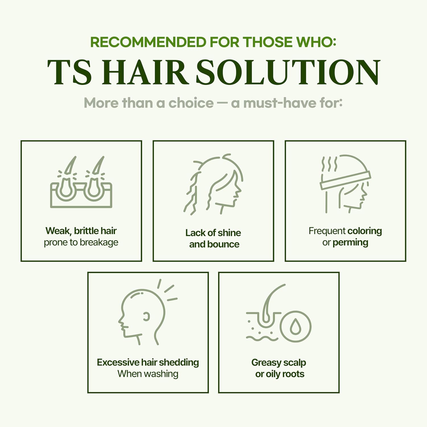 TS Natural All New TS Shampoo | Korean Shampoo for Sensitive Scalp | Hair & Scalp Care with Salicylic Acid and Natural Ingredients | Sulfate-Free