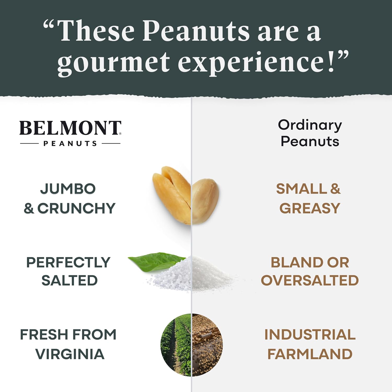 Belmont Peanuts Gourmet Sea-Salted Virginia Peanuts, 20 oz (1 Pack) – Only 3 Simple Ingredients, No Preservatives, 7g Protein – A Premium, Salty, Crunchy, Hand Seasoned Snack