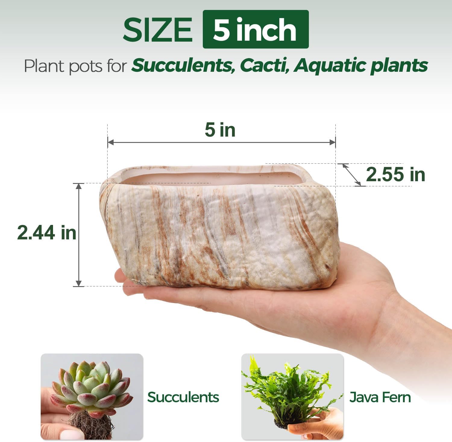 T4U 5.5 Inch Ceramic Succulent Pot Planter with Drainage Hole Set of 3