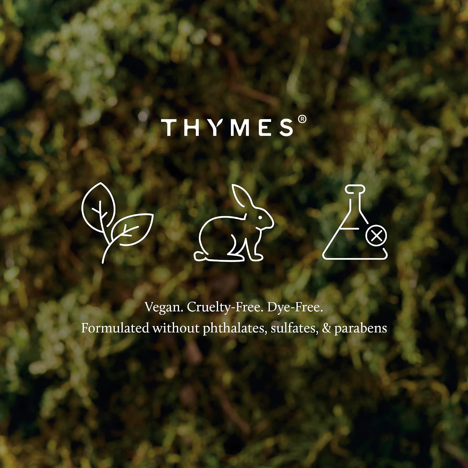 Thymes Scented Candles for Women & Men – Tin with Lid – Luxury Home Decor – Holiday Candles with Notes of Crisp Siberian Fir Needles, Cedarwood, & Sandalwood (Frasier Fir, 6.5 oz)
