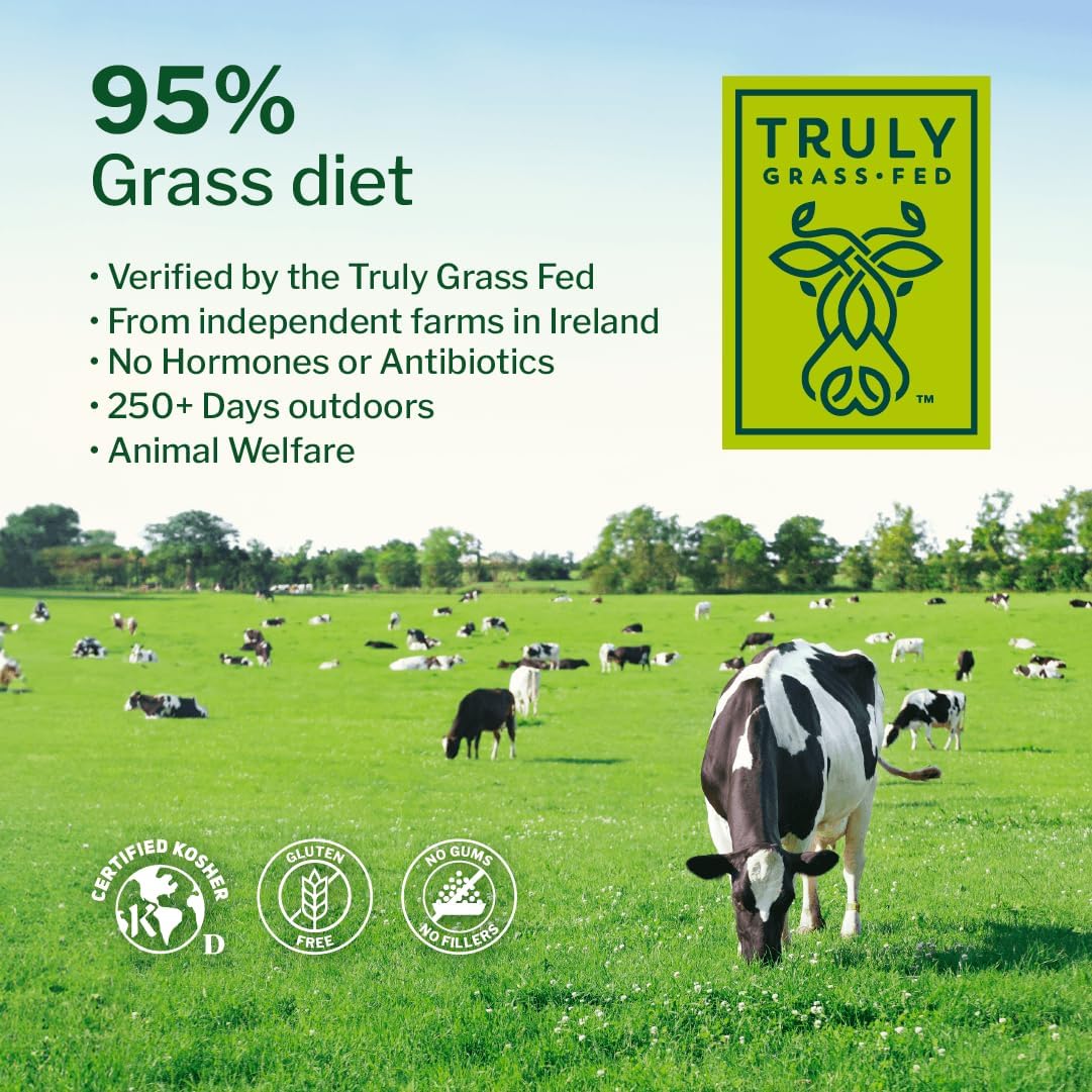 Unflavored Grass Fed Whey Isolate Protein Powder, 1 lb | Isolated, Flavorless Whey made with 100% GrassFed Hormone-Free Milk, It's Unsweetened, Cold-Pressed and Heavy-Metal Tested
