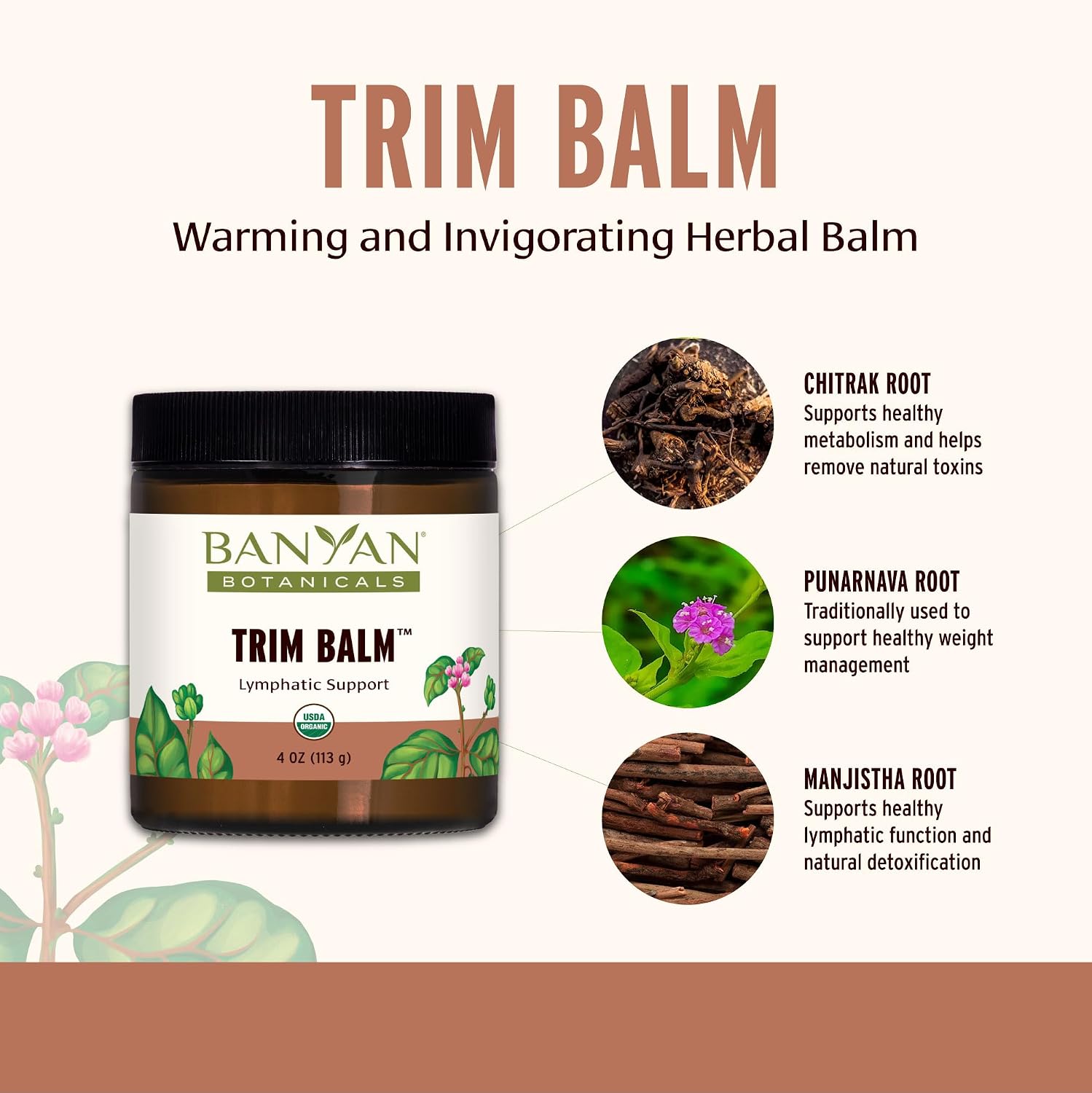 Banyan Botanicals Joint Balm – Organic Balm for Joints with Boswellia and Guggulu – for Supporting Comfortable Joints and Overall Joint Health – 4 oz – Non-GMO Sustainably Sourced Petroleum Free