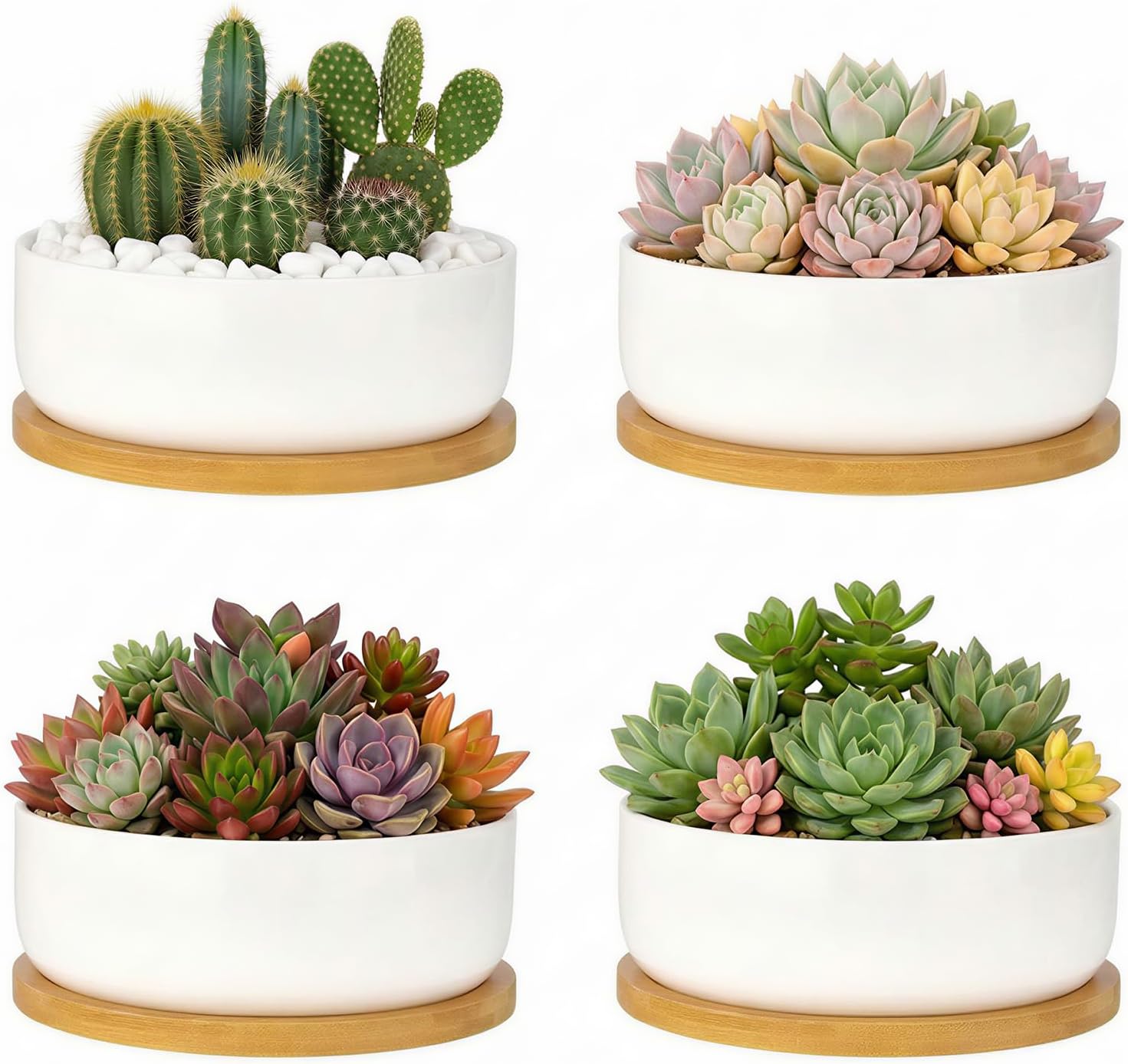 ZOUTOG 2 Pack 6" Ceramic Succulent Pots, White Planters with Drainage Tray