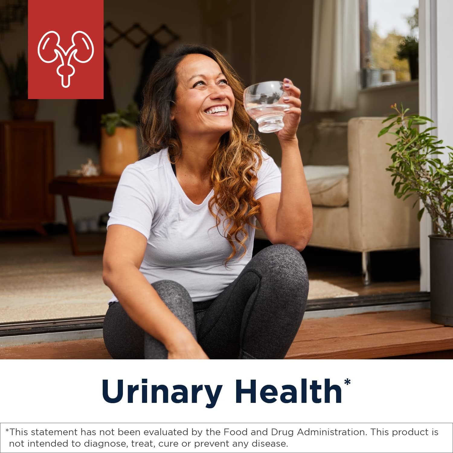 Designs for Health Kidney Korrect - Herbs + Mushrooms for Kidney Support - Vegan, Non-GMO Supplement (60 Capsules)