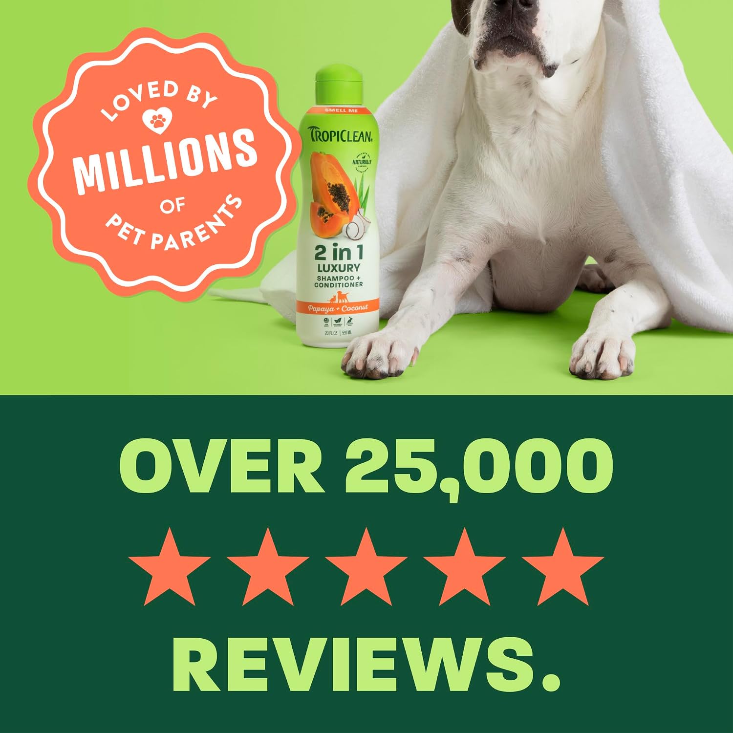 TropiClean Deodorizing Dog Shampoo for Smelly Pets, Long Lasting Odor Control, Puppy Safe, Made in the USA, Berry Scent, Cat Friendly, 20oz.