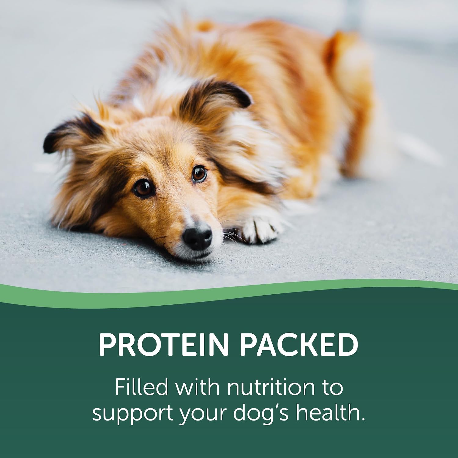 Healthfuls Duck Jerky Healthy Dog Treats – Grain Free, Real Duck Breast Fillets, No Fillers or Artificial Ingredients, All Life Stages – 16 ounces