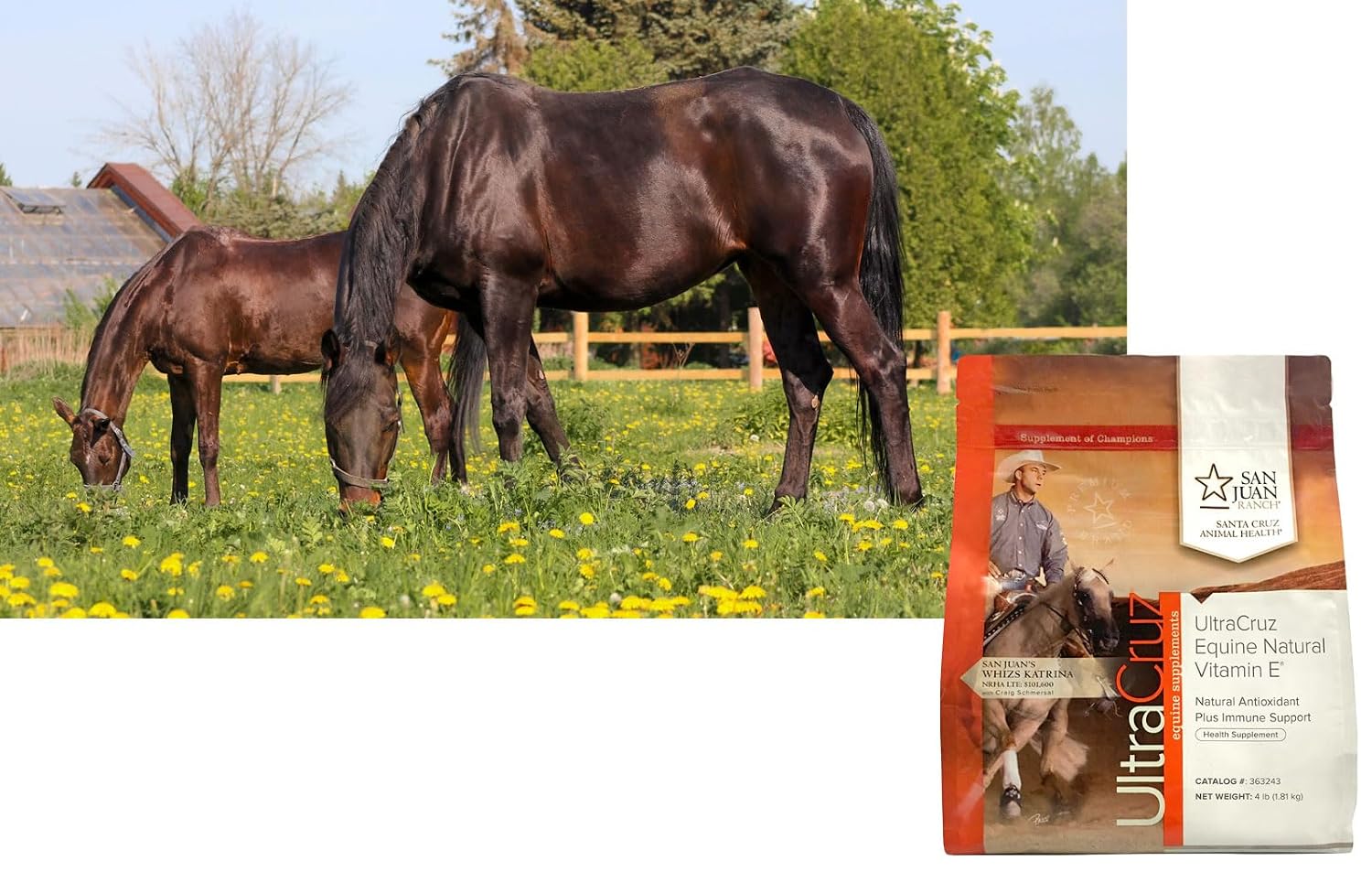 UltraCruz Equine Natural Vitamin E®, Powder, 4 lb