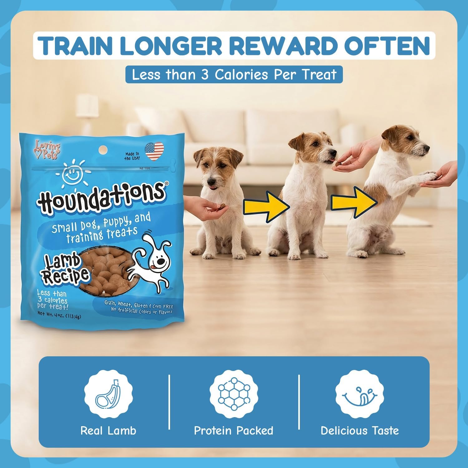 Loving Pets Houndations Chicken Dog Training Treats | All Natural | 2.6 Calories Per Treat | Grain-Free, Wheat-Free, Gluten-Free & Corn-Free | for Small Dogs & Puppies, 4 oz