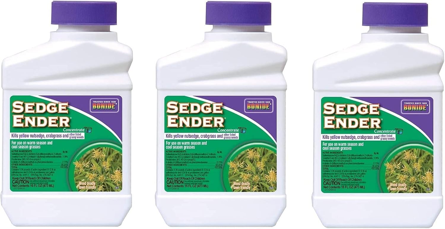 Sedge Ender Concentrate3