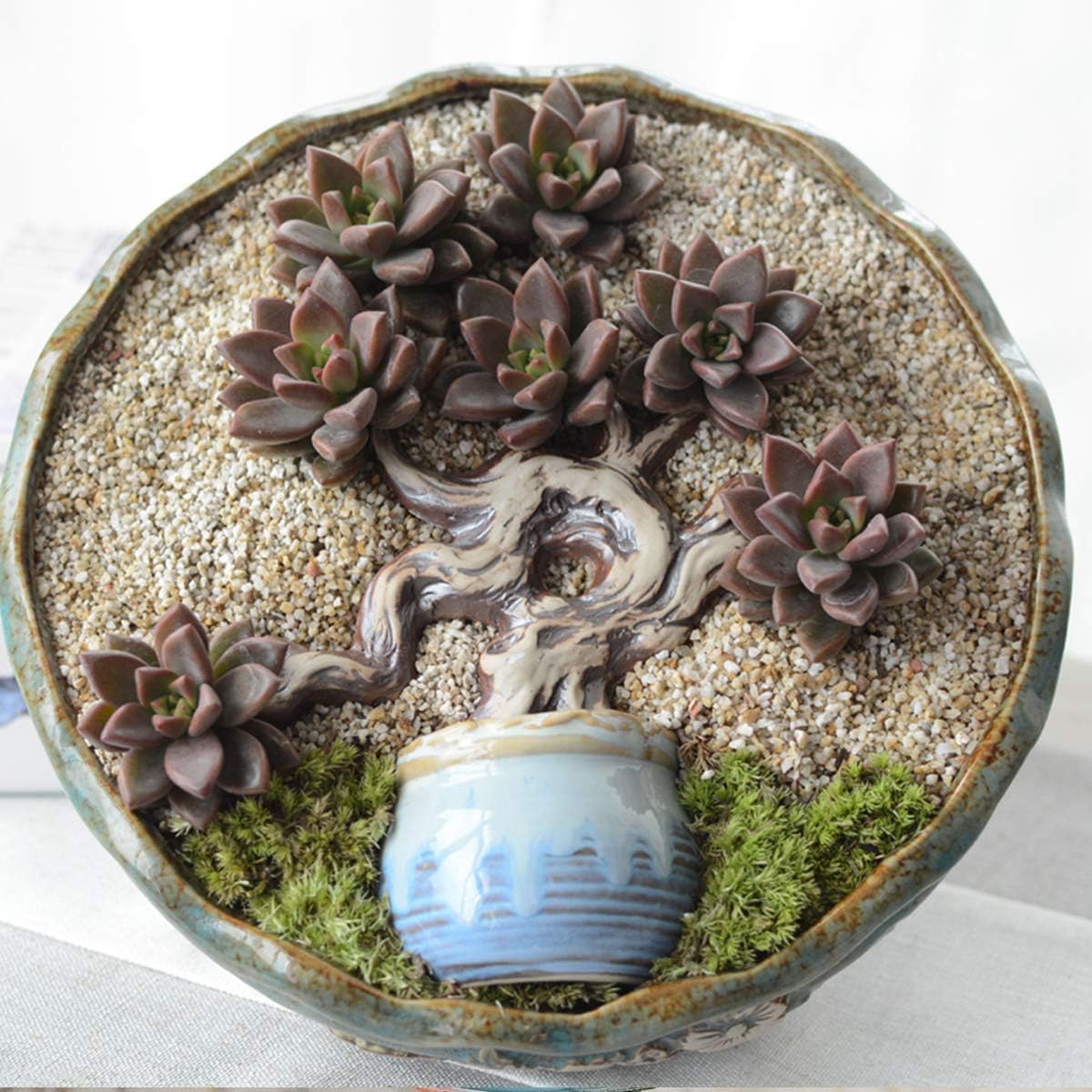 Mix Horticultural Lava Pebbles Pumice Potting Soil Amendment Succulent Cactus Bonsai Gritty Rock Decorative Gravel Plant Drainage Volcanic Rock for Terrarium Fairy Gardening Top Dressing 2.2lb