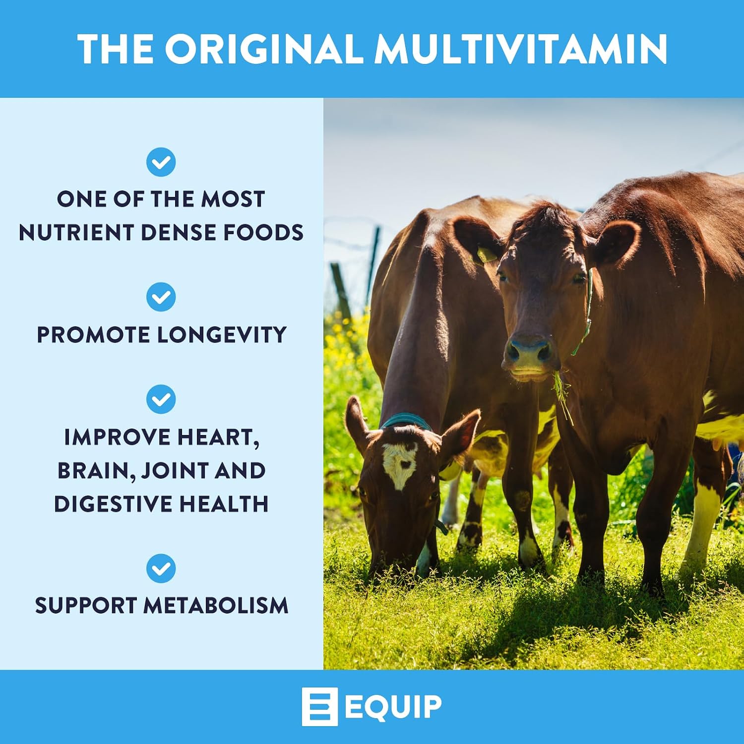 Equip Foods Grass-Fed Beef Liver | Natural Desiccated Beef Liver Supplement | Support Heart Health, Brain Function, Digestion, Metabolism, Immunity