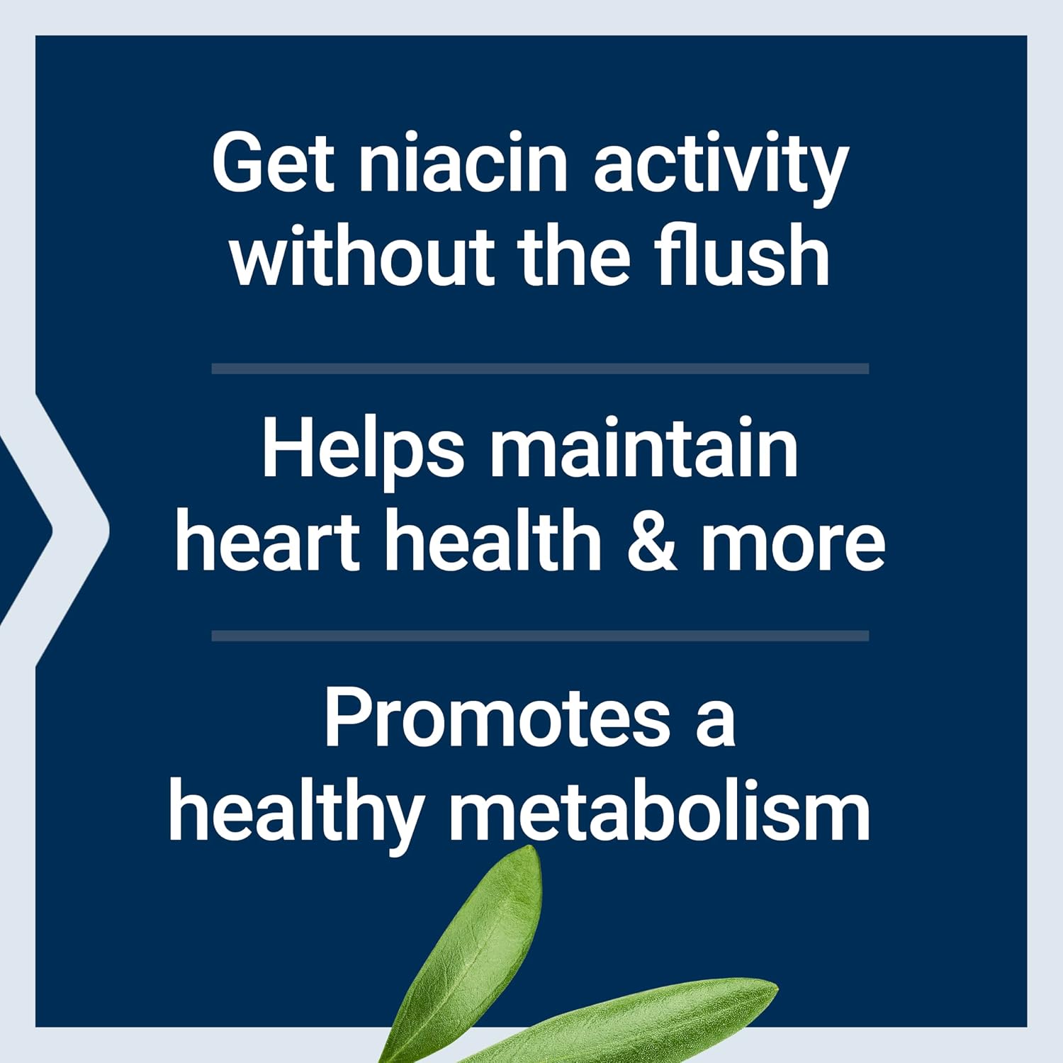 Life Extension No Flush Niacin, B3 for Heart Health, Cholesterol & Energy Support, Non-GMO, Gluten-Free, 100 Capsules