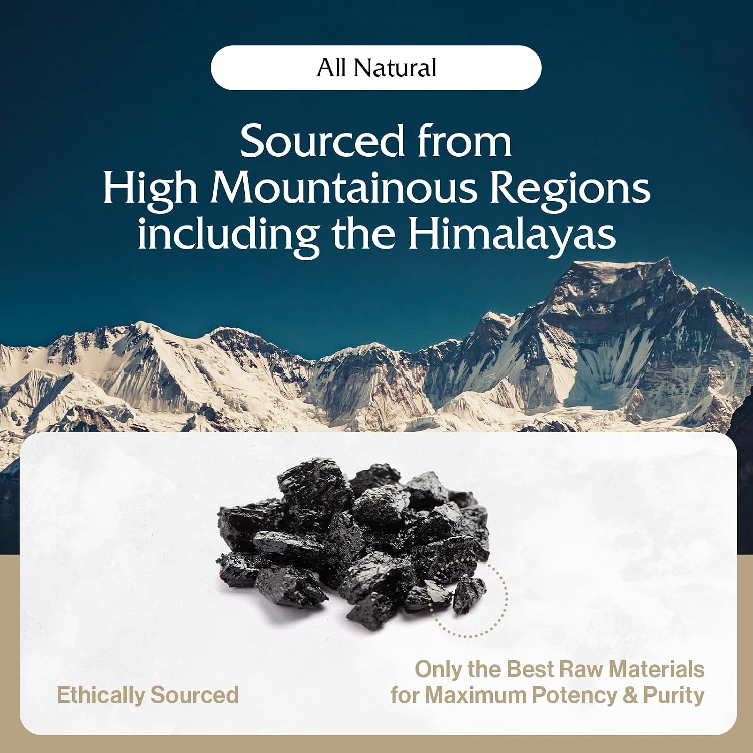 Purblack Pure Shilajit Resin, 85+ Trace Minerals, 60 Servings | Gold-Infused Himalayan Resin for Men&Women | Energy & Immunity Support, Made in USA