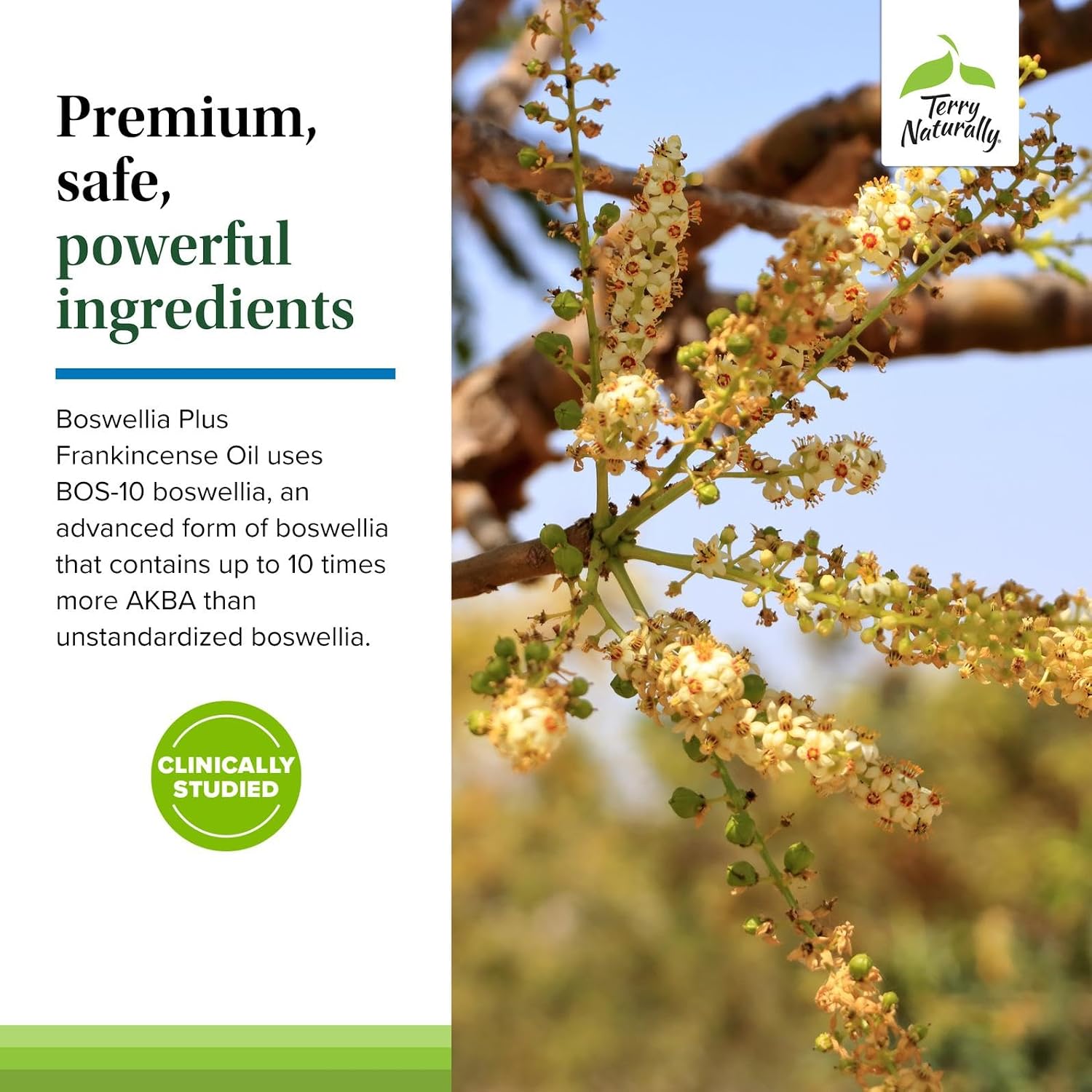 Terry Naturally Boswellia Plus - Healthy Inflammation Response - 60 Count | BosPure, Boswellia