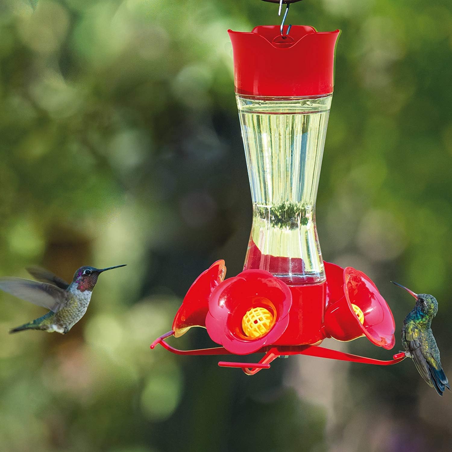 Perky Pet 203CPBN 8 Oz Clear Glass Hummingbird Feeder Set of 2