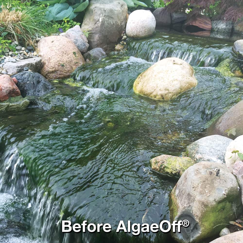 CrystalClear AlgaeOff - String Algae Remover - 2.5 pounds treats up to 1,000 Square Feet