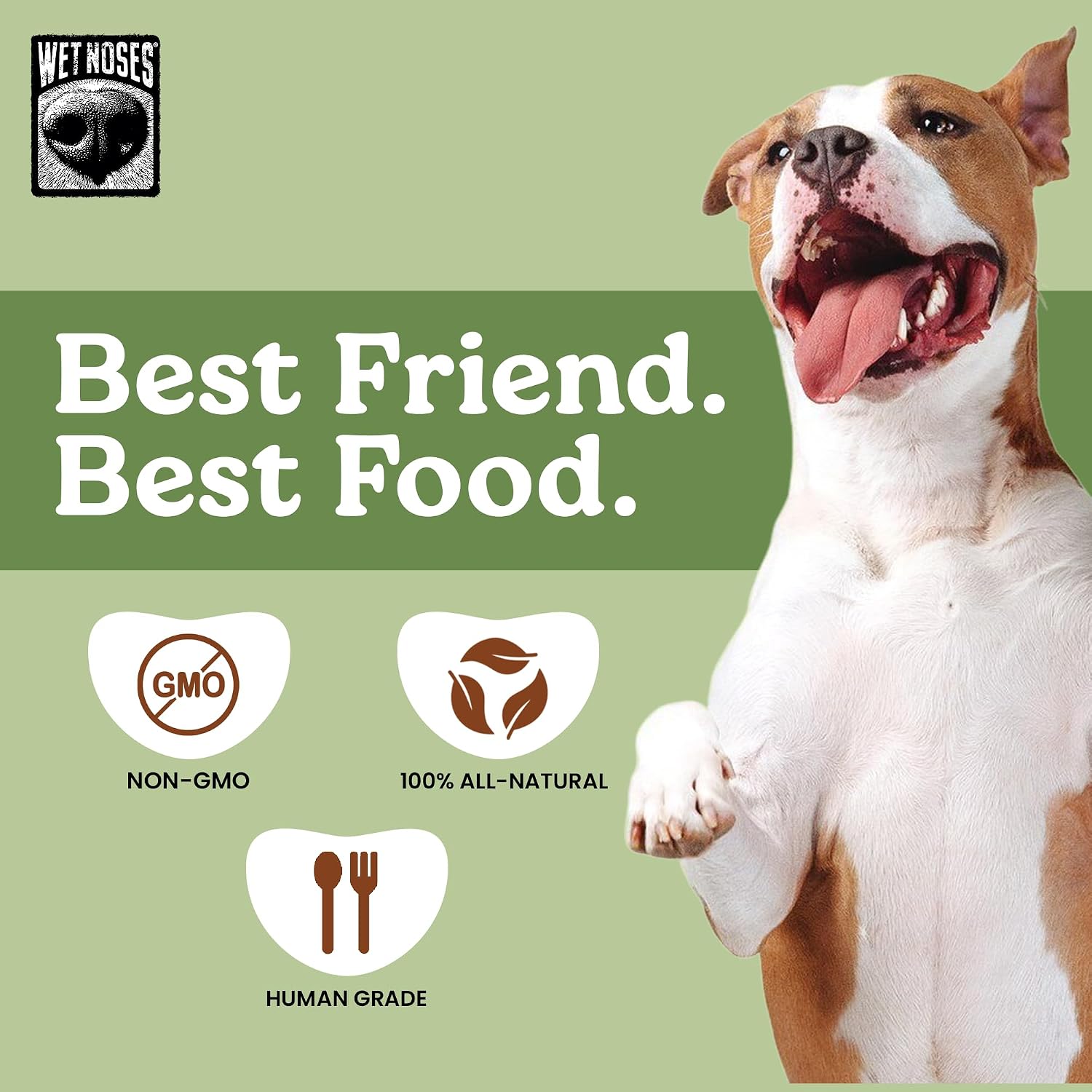 Wet Noses Organic Crunchy Dog Treats – All-Natural, Human-Grade, Non-GMO, Healthy Training & Delicious Snacks for Dogs