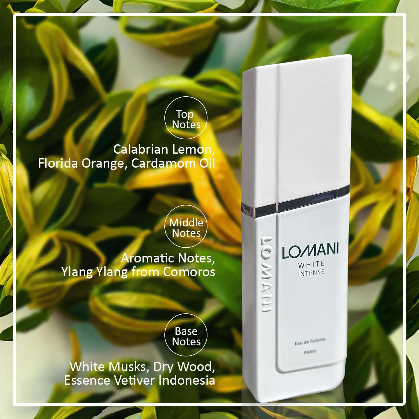 Lomani white intense for men - 3.3 Ounce edt spray, 3.3 Ounce