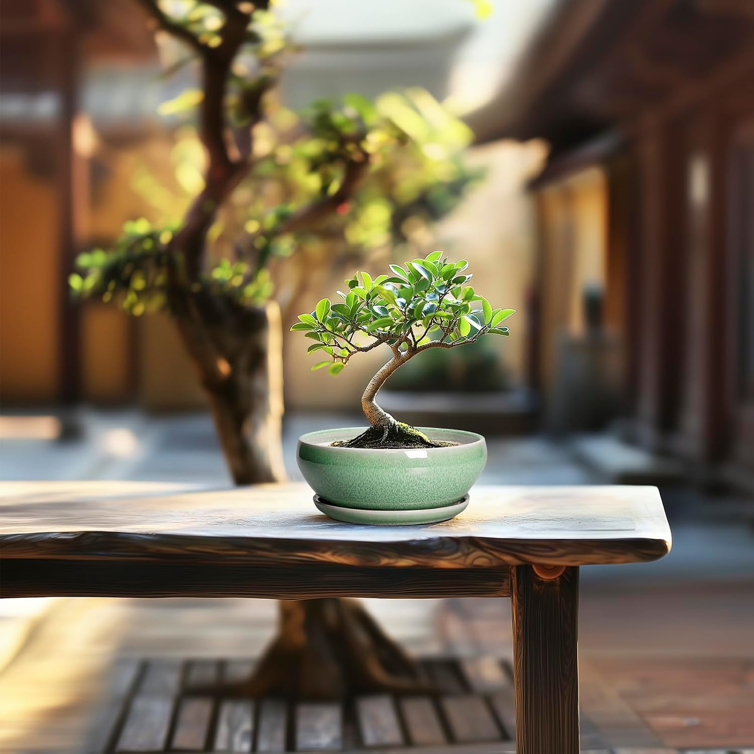 SQOWL 7 Inch Round Ceramic Succulent Planter Pot Drip Glazed Shallow Planter with Drainage Bamboo Tray for Indoor Plants