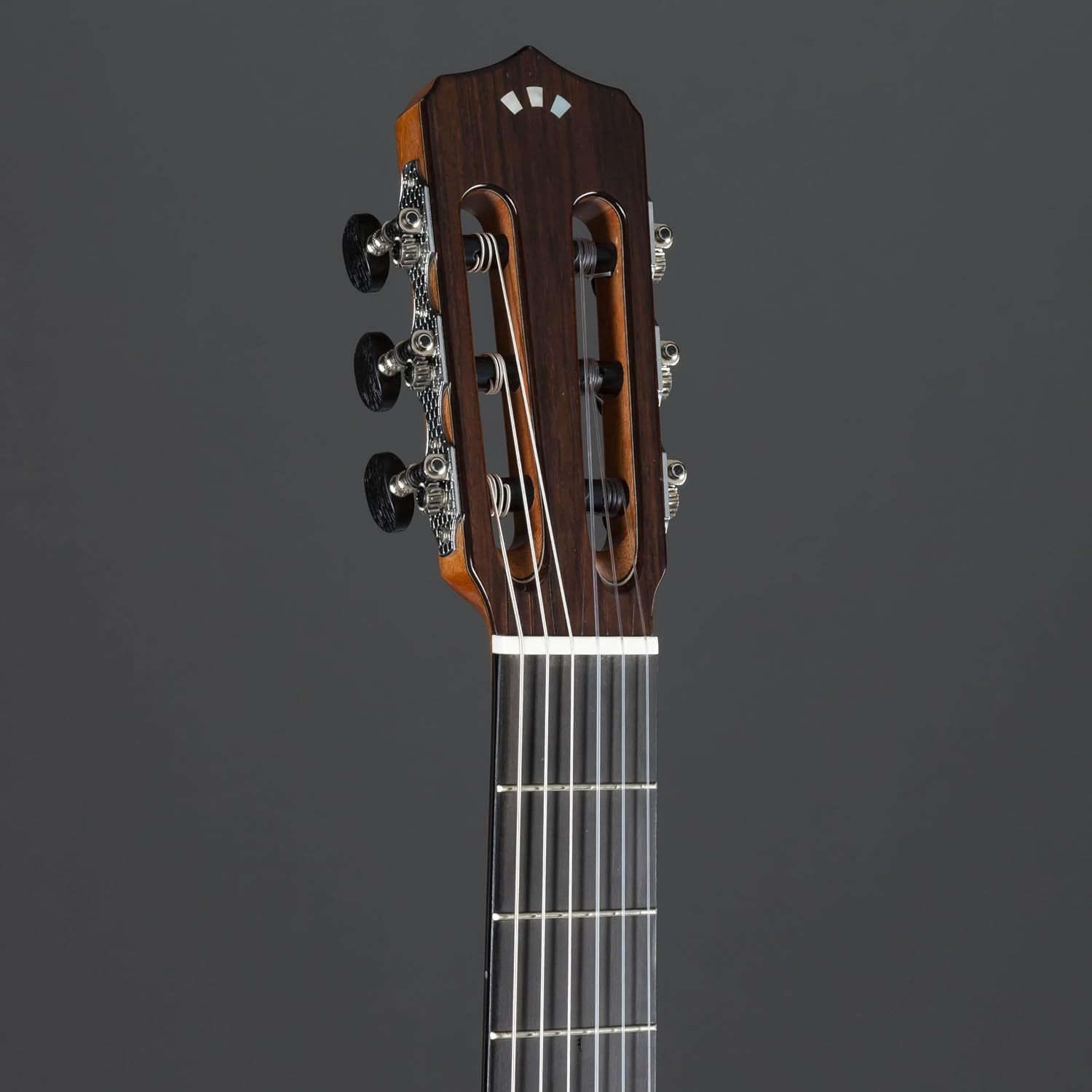 Cordoba Fusion 12 Rose II Nylon Acoustic Electric