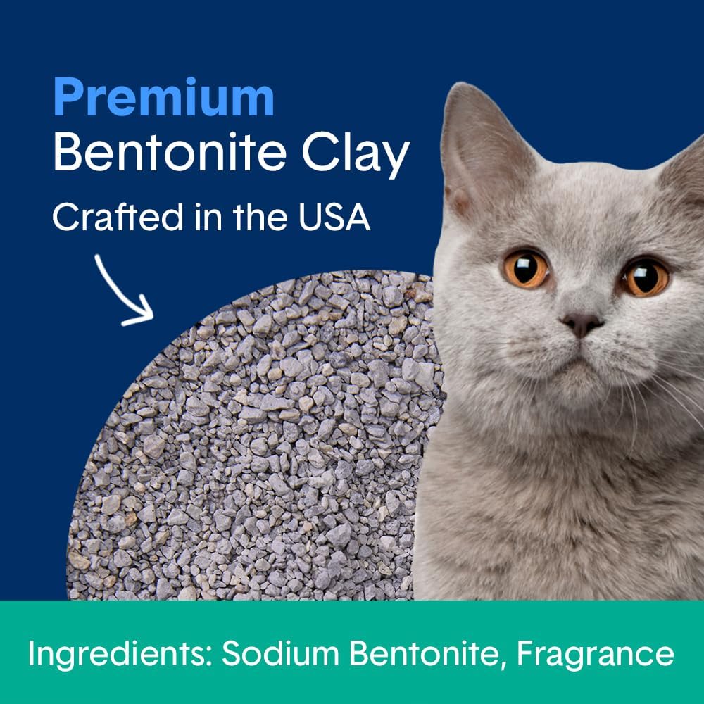 Boxie Premium Unscented Clumping Cat Litter 30+ Day Odor Control 16 lb