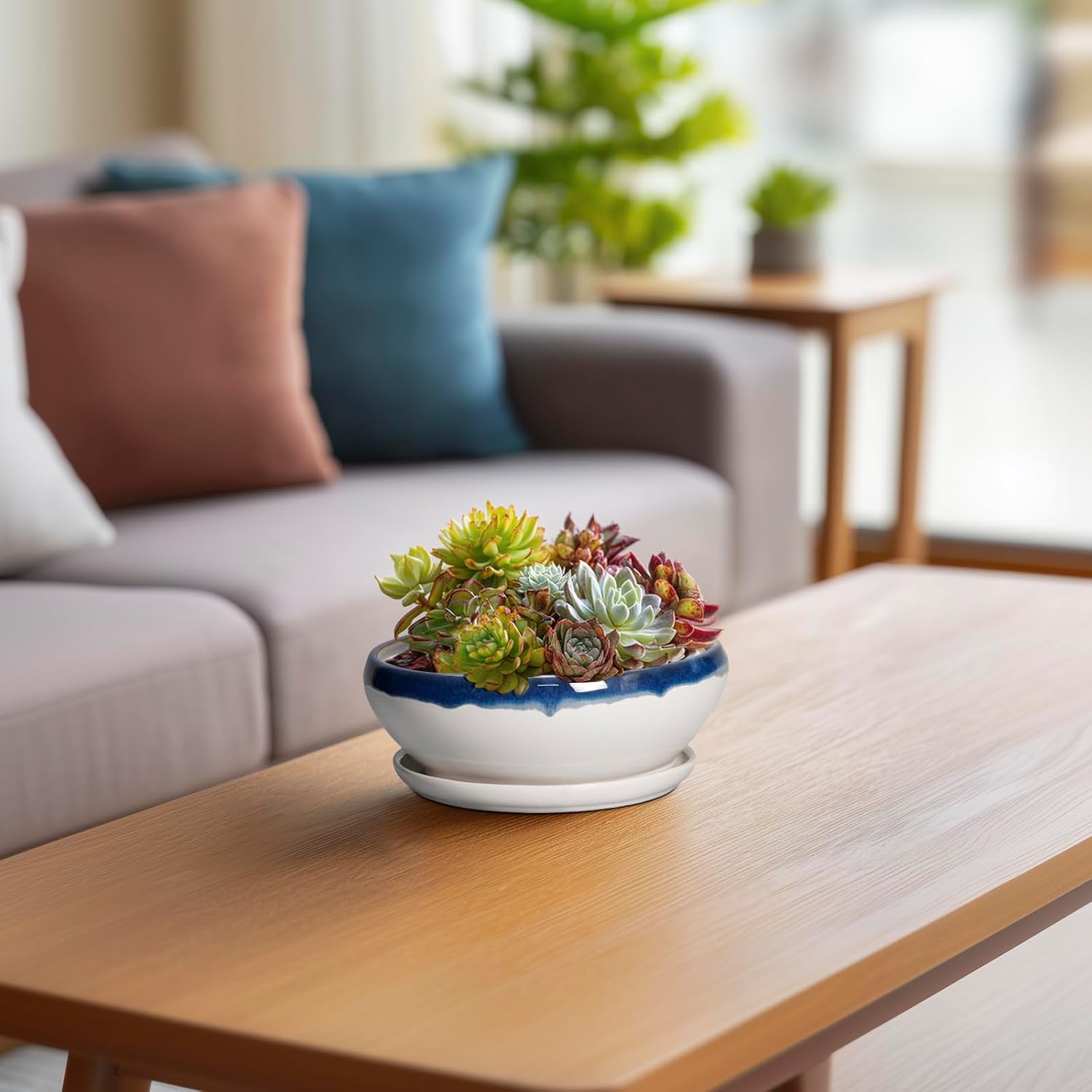 SQOWL 7 Inch Round Ceramic Succulent Planter Pot Drip Glazed Shallow Planter with Drainage Bamboo Tray for Indoor Plants