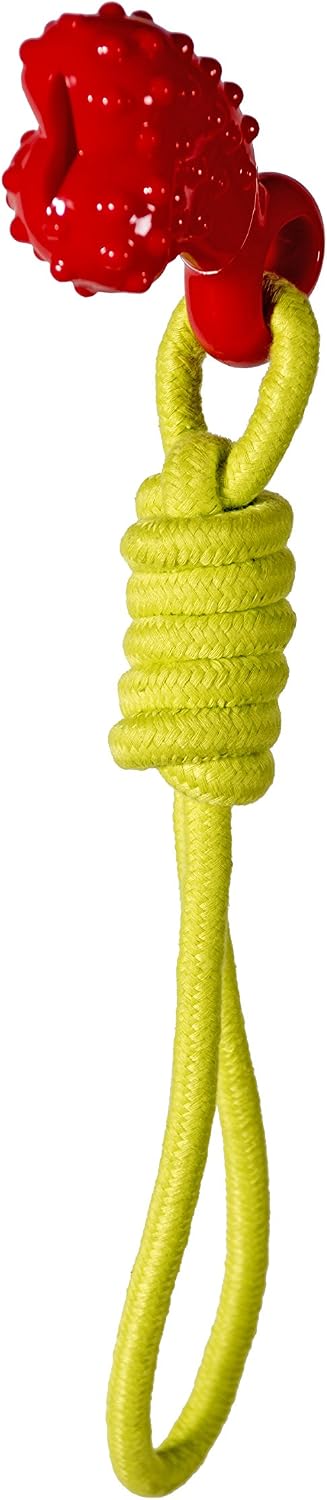 Chase 'n Chomp Comet Fetch-Tug Rope Toy with That Holds Treats & Floats