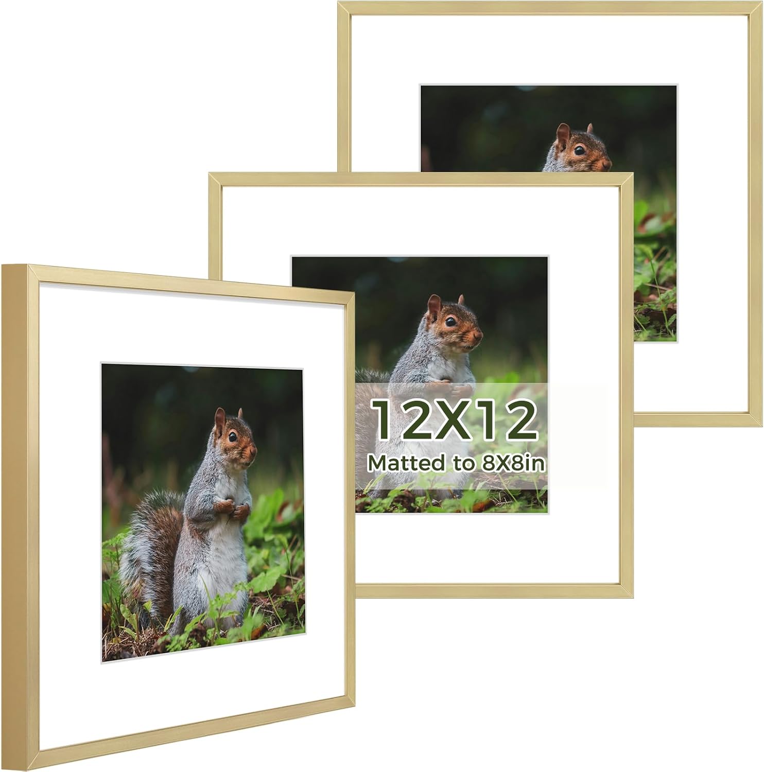 Golden State Art 3 Pack 12x12 Black Aluminum Frames, Real Glass Fronts