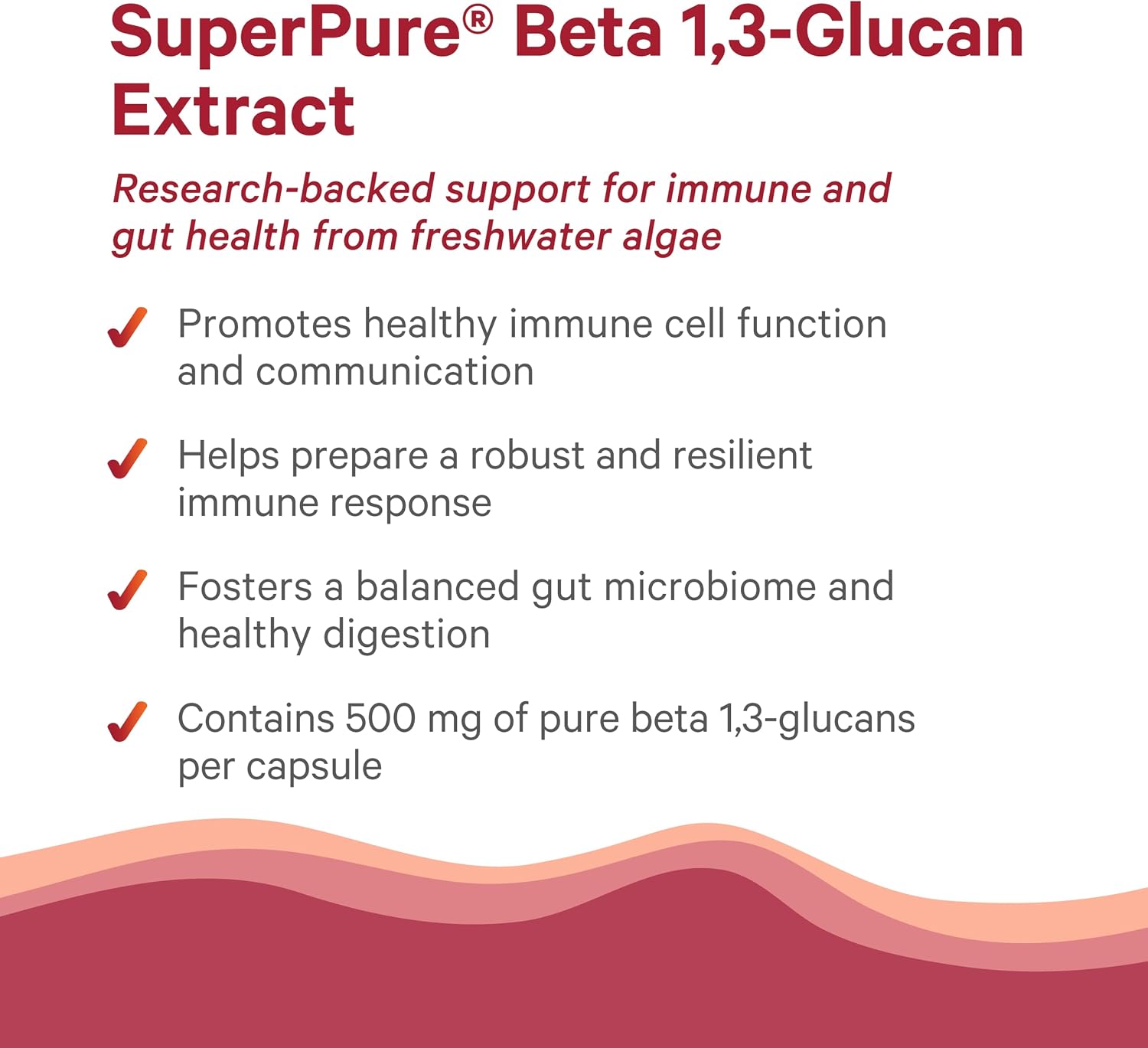 PURE SYNERGY Organic Beet Juice Powder | Pre-Workout Supplement | Organic Beet Root Juice Powder | for Healthy Circulation, Exercise, and Detoxification (6.4 oz.)