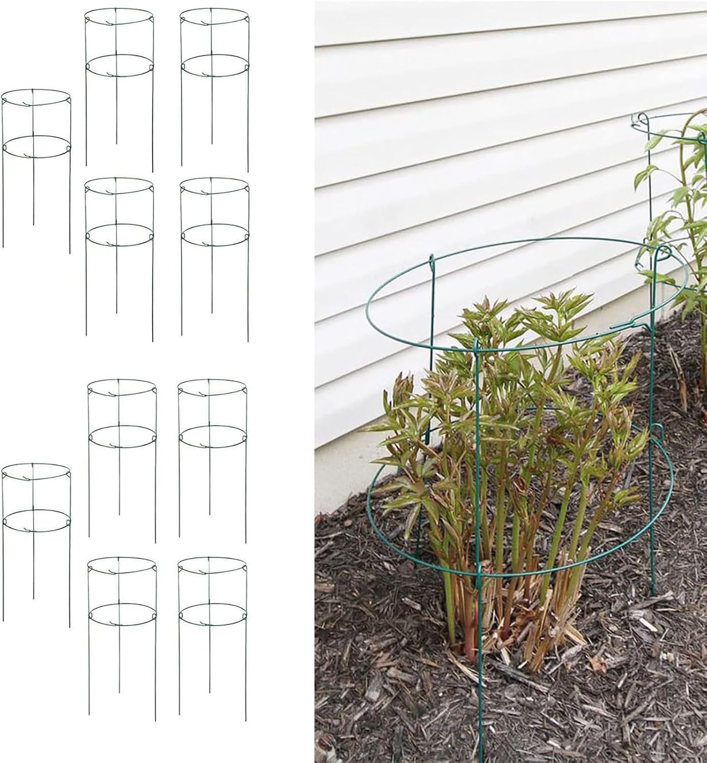 MTB Supply 5 Pack 36" x 18" Peony Double Ring Plant Support,Plant Support Stakes for Tomatoes Peony Lily Rose Plant Support Rings Peony Cages for Outdoor Plants Flowers Vegetables