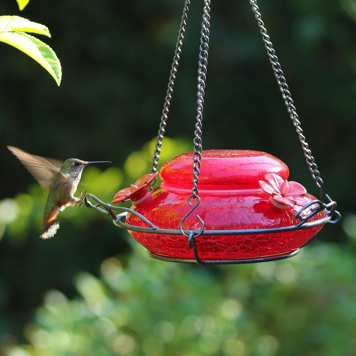 Nature's Way Bird Products MHF4 Hand Blown Garden Top Fill Hummingbird Feeder, 16 oz Capacity, Red