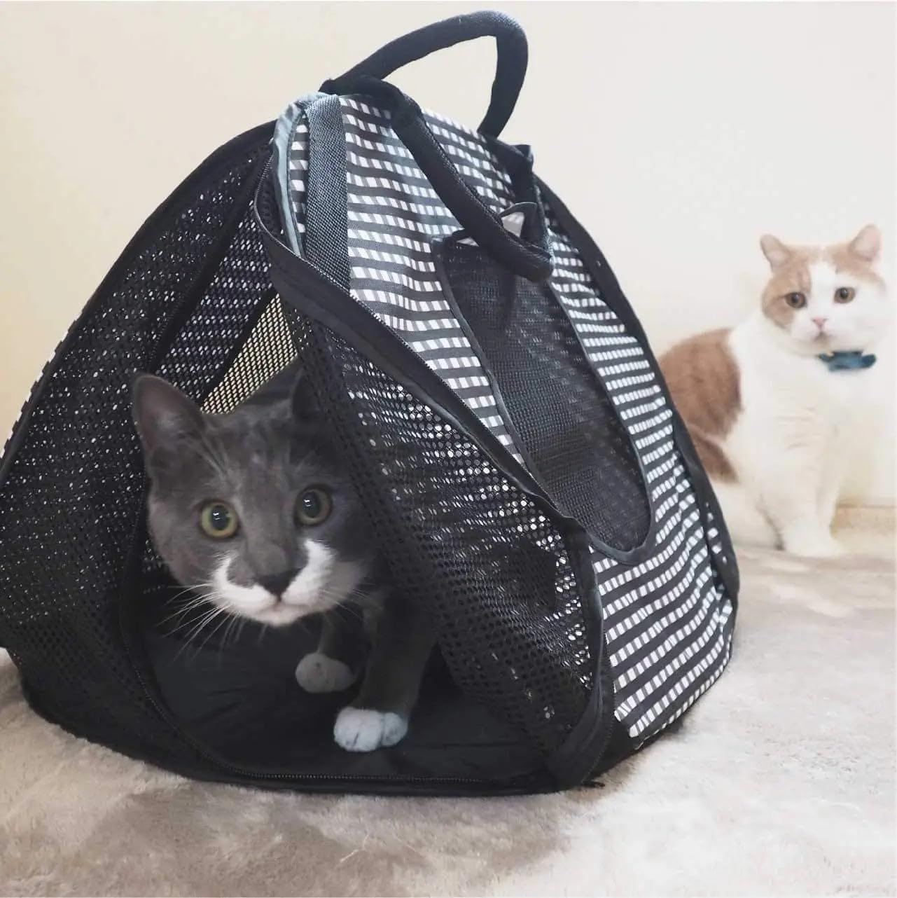 Necoichi Stress-Free Cat Travel Carrier Collapsible Gray White for 2 Cats, for Indoor Cats Small Medium Large Cats(Black)